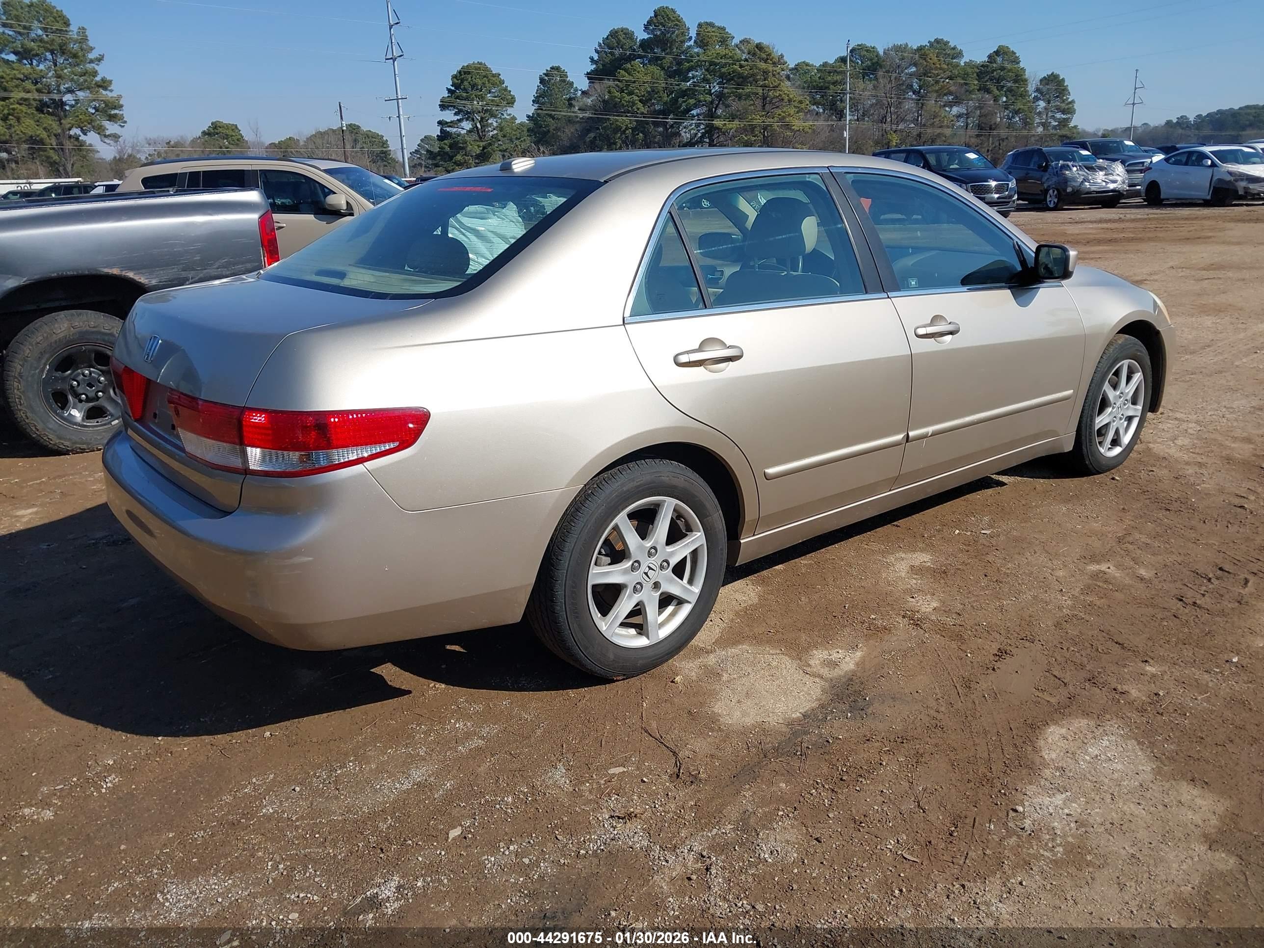 HONDA ACCORD image 4