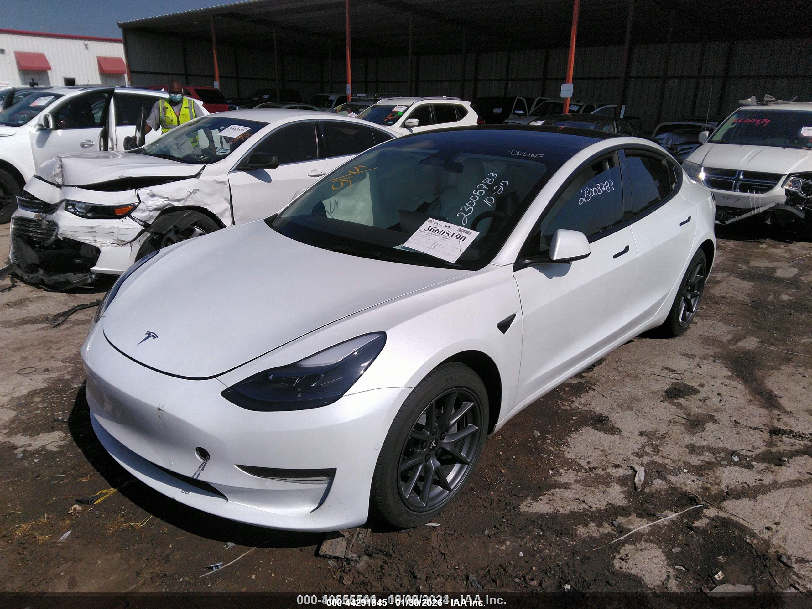 TESLA MODEL image 2