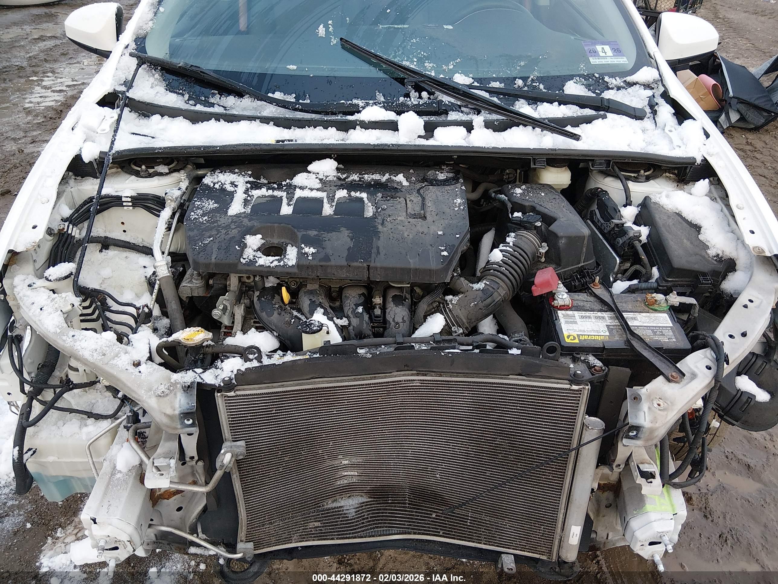 TOYOTA COROLLA image 10
