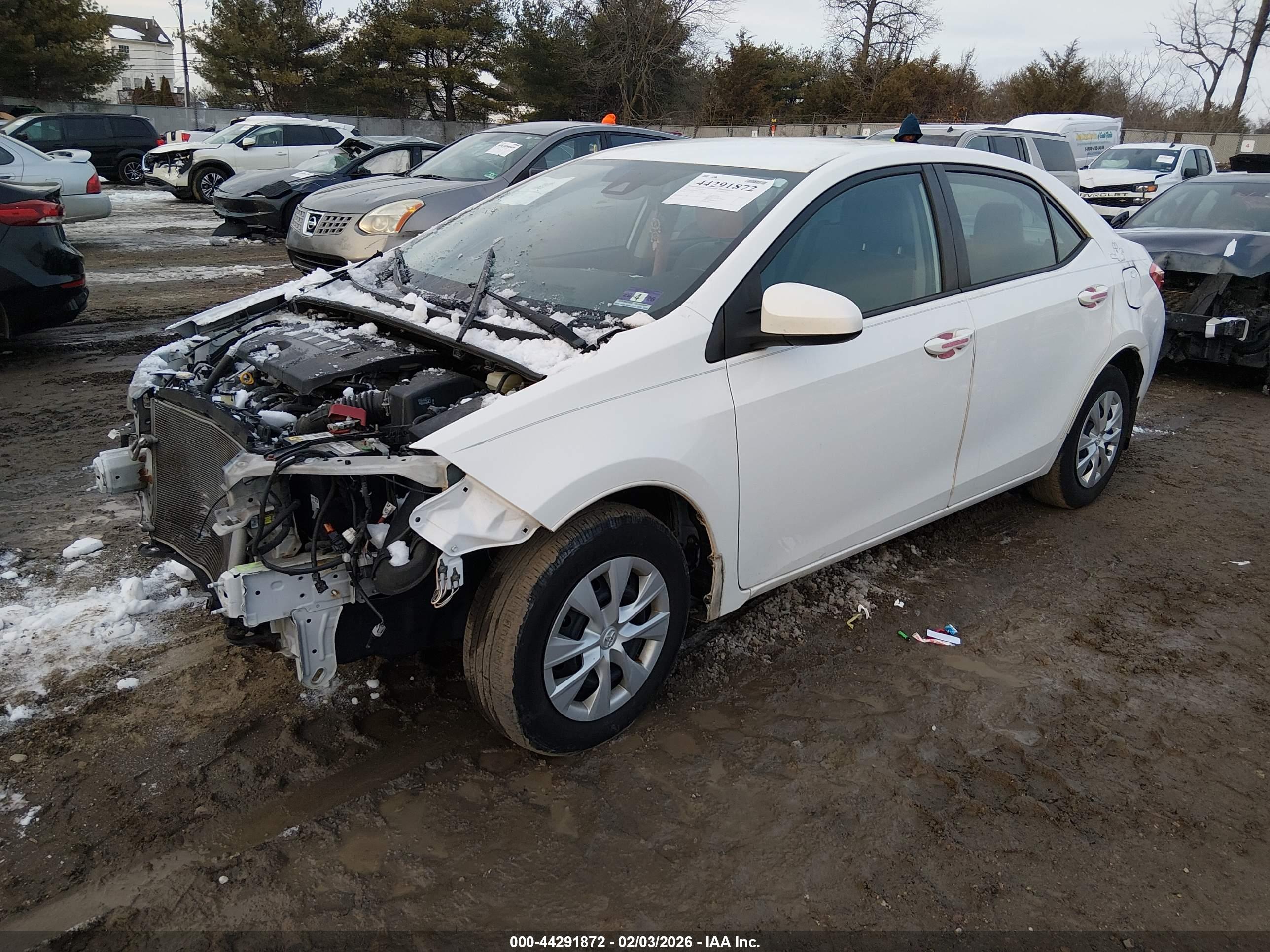 TOYOTA COROLLA image 2