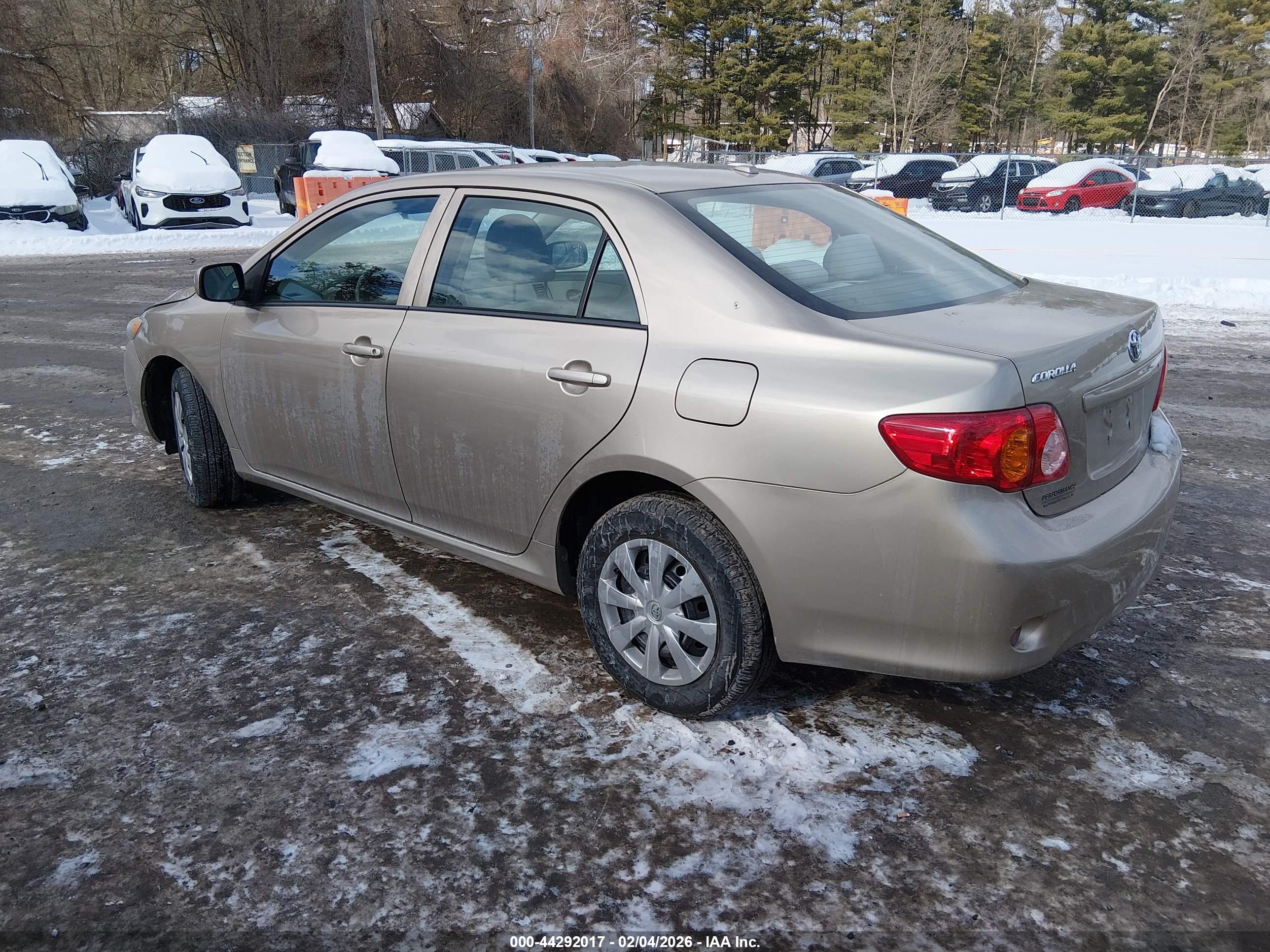 TOYOTA COROLLA image 3