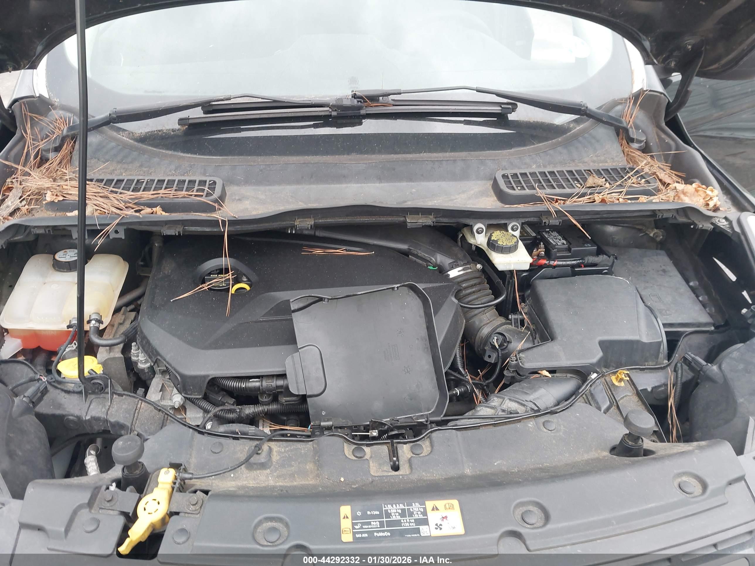 FORD ESCAPE image 10