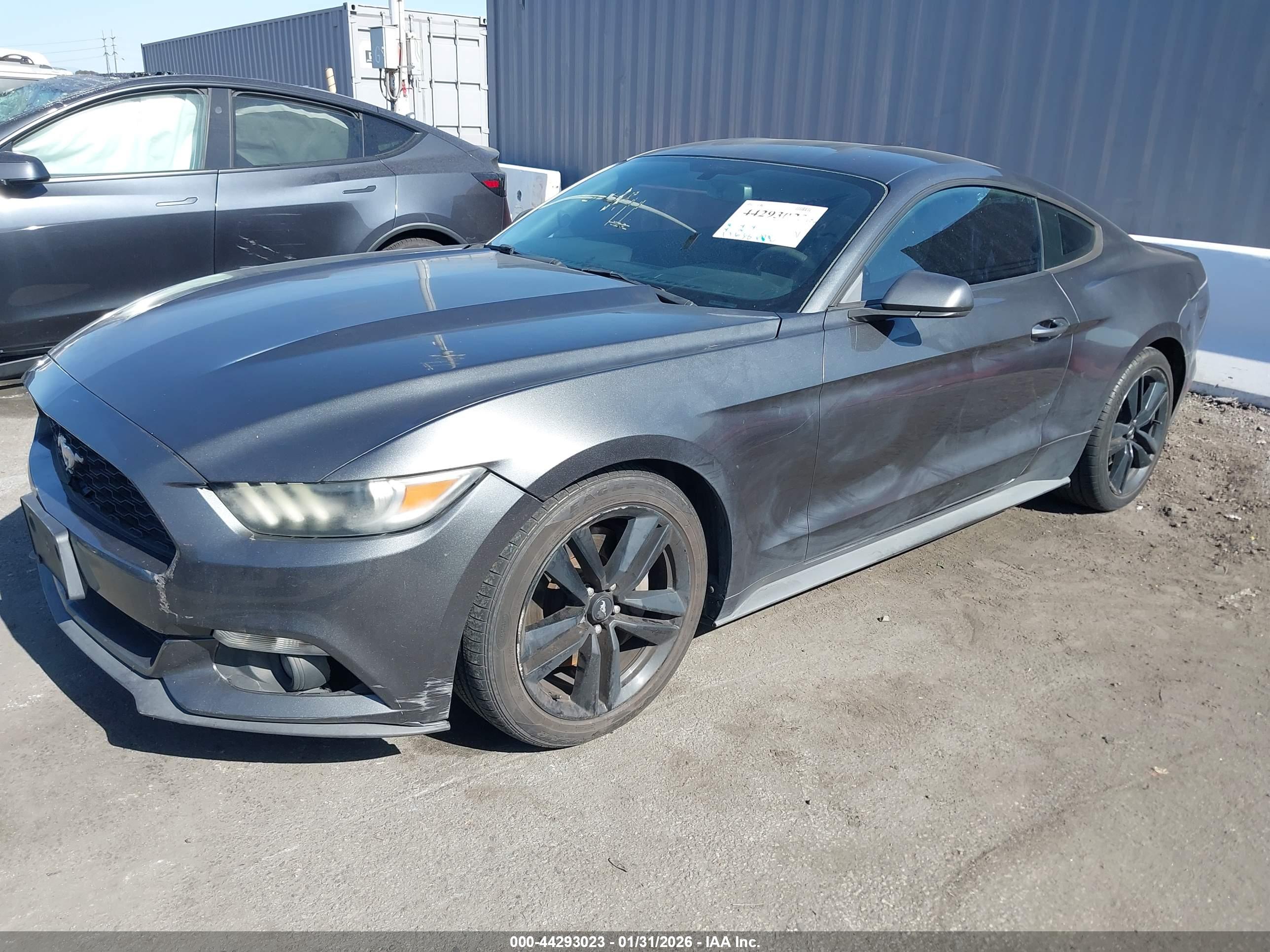 FORD MUSTANG image 2