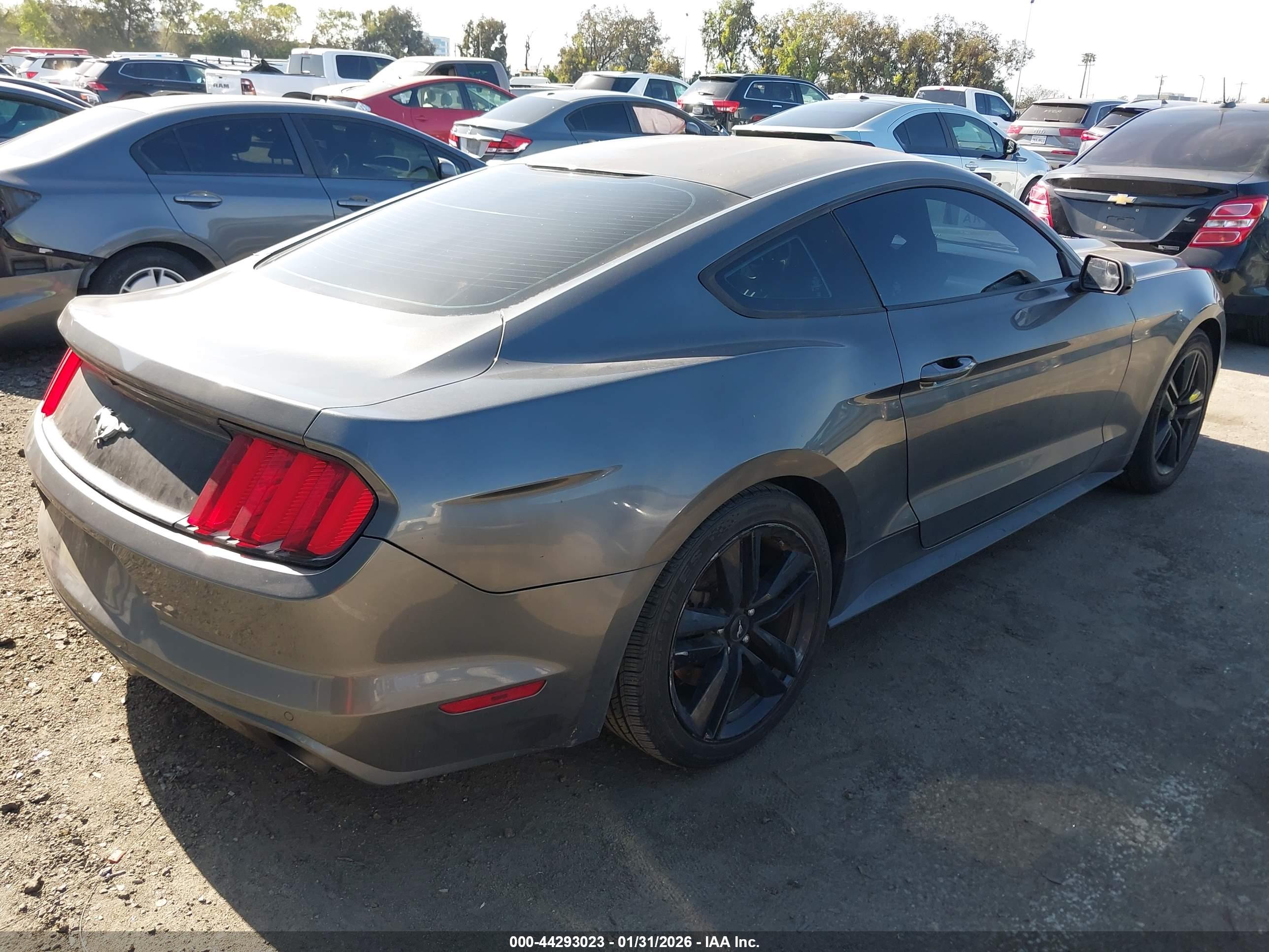 FORD MUSTANG image 4