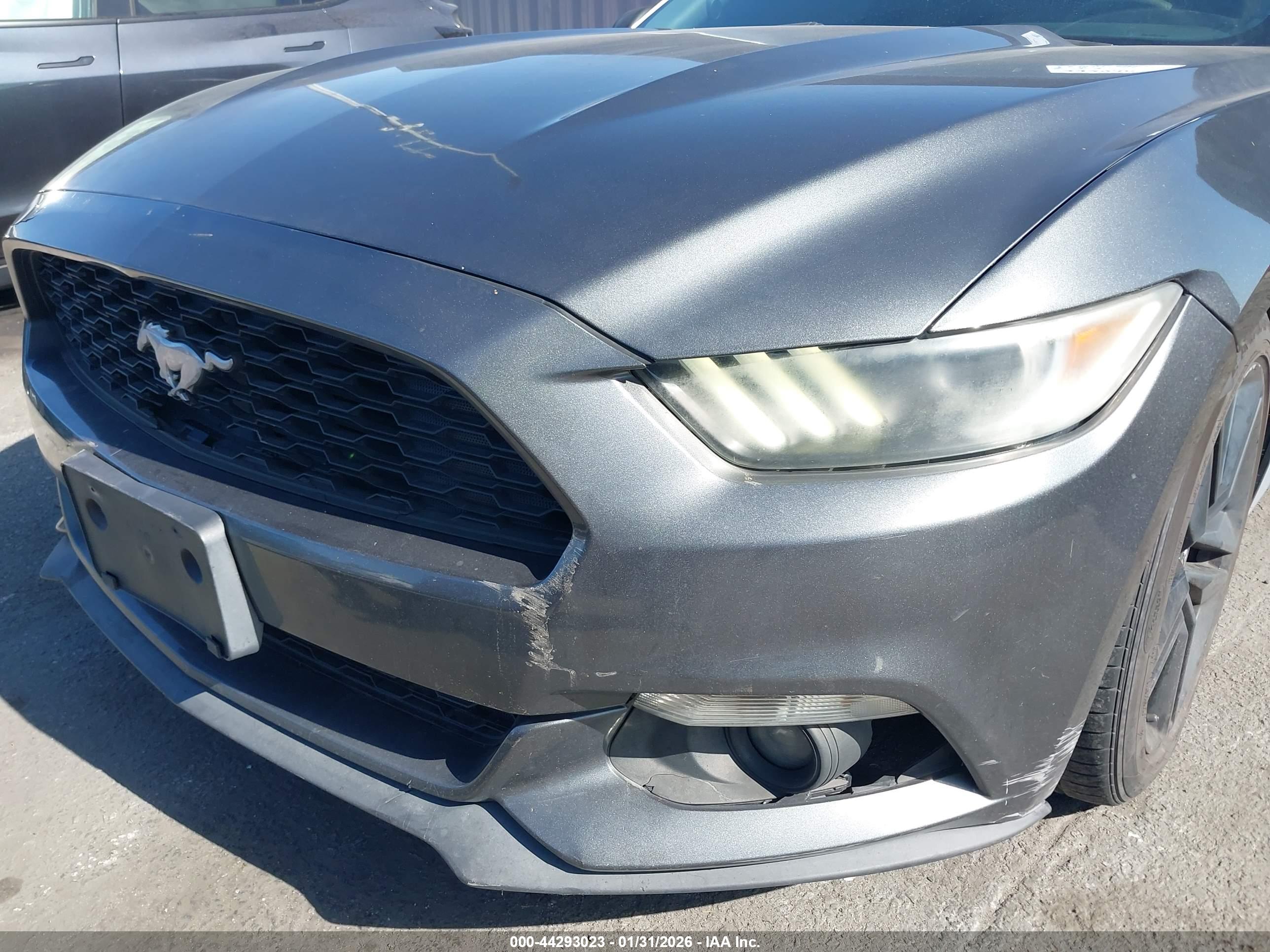 FORD MUSTANG image 6