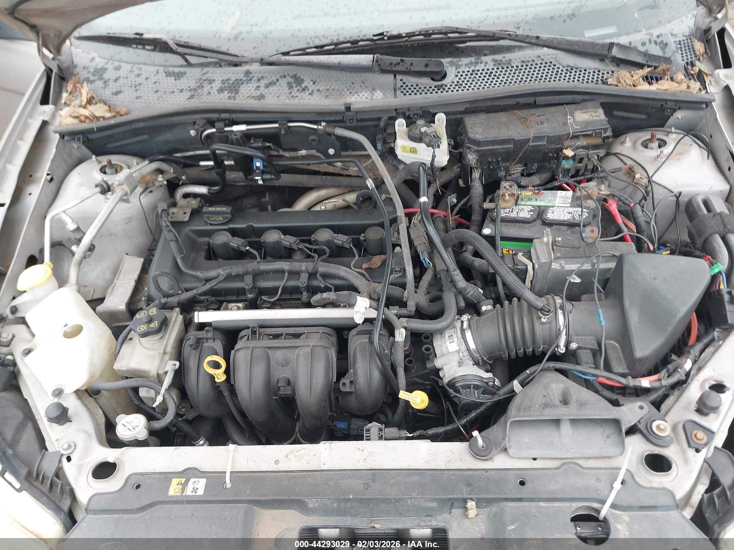 FORD FOCUS image 10