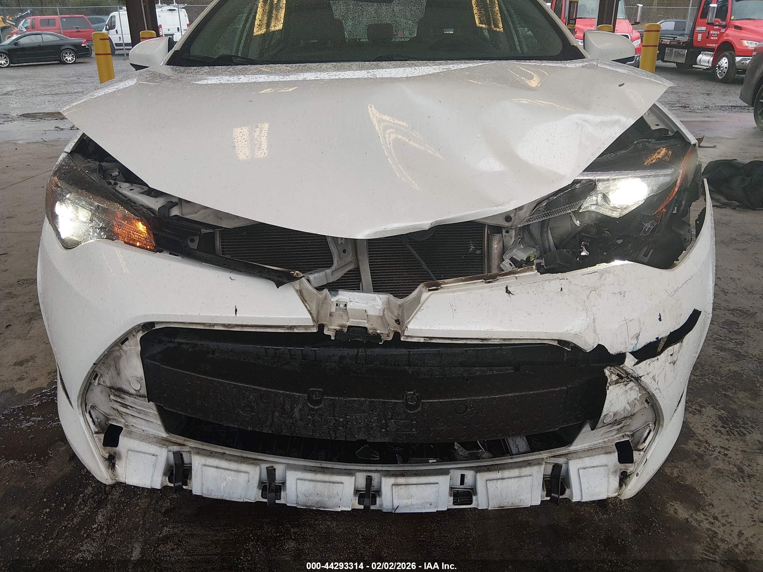 TOYOTA COROLLA image 6