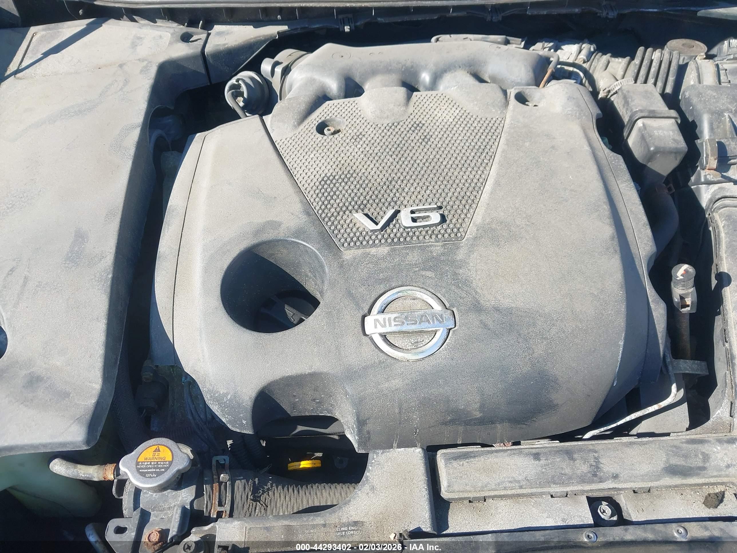 NISSAN MAXIMA image 10