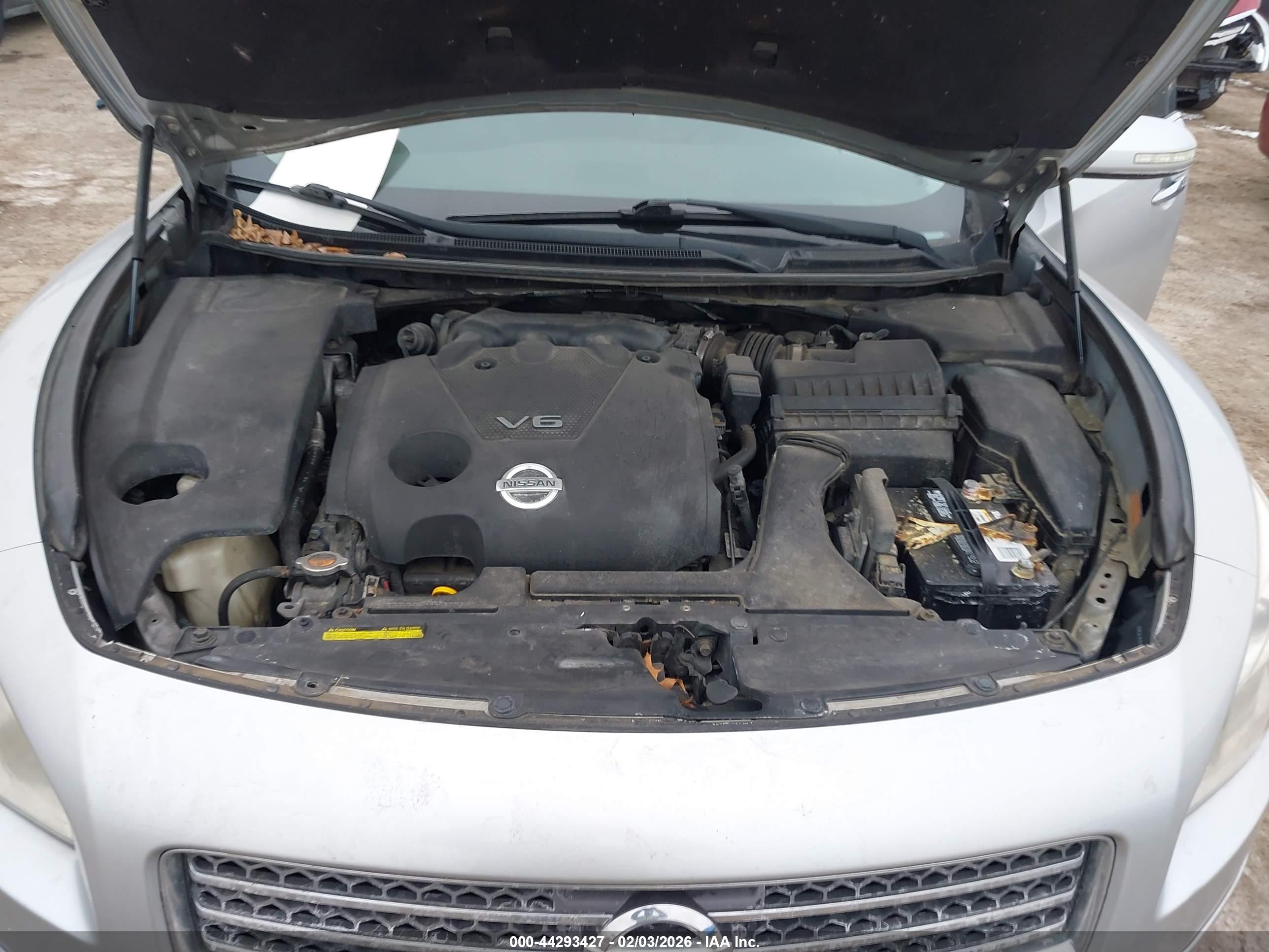 NISSAN MAXIMA image 10