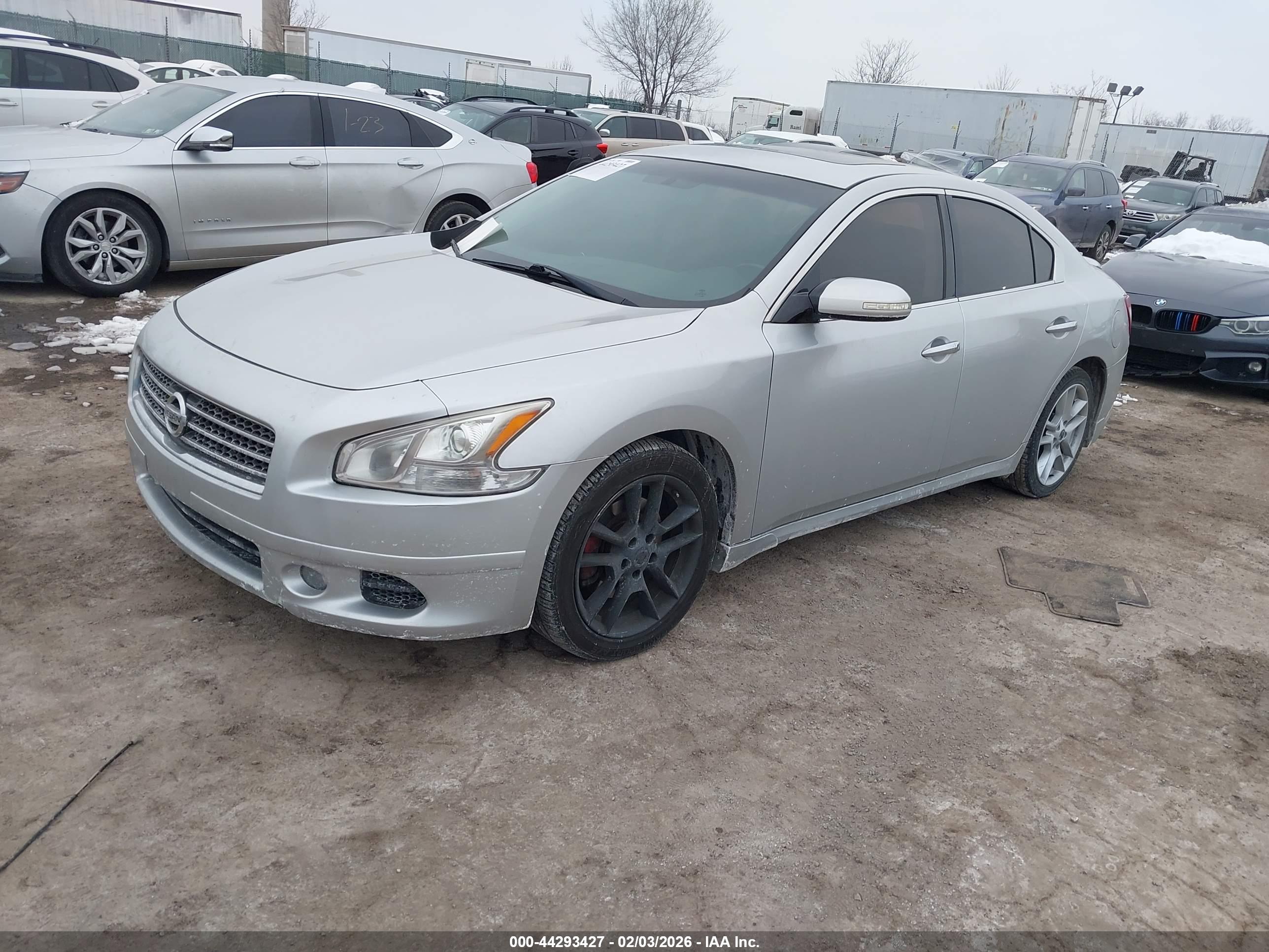 NISSAN MAXIMA image 2
