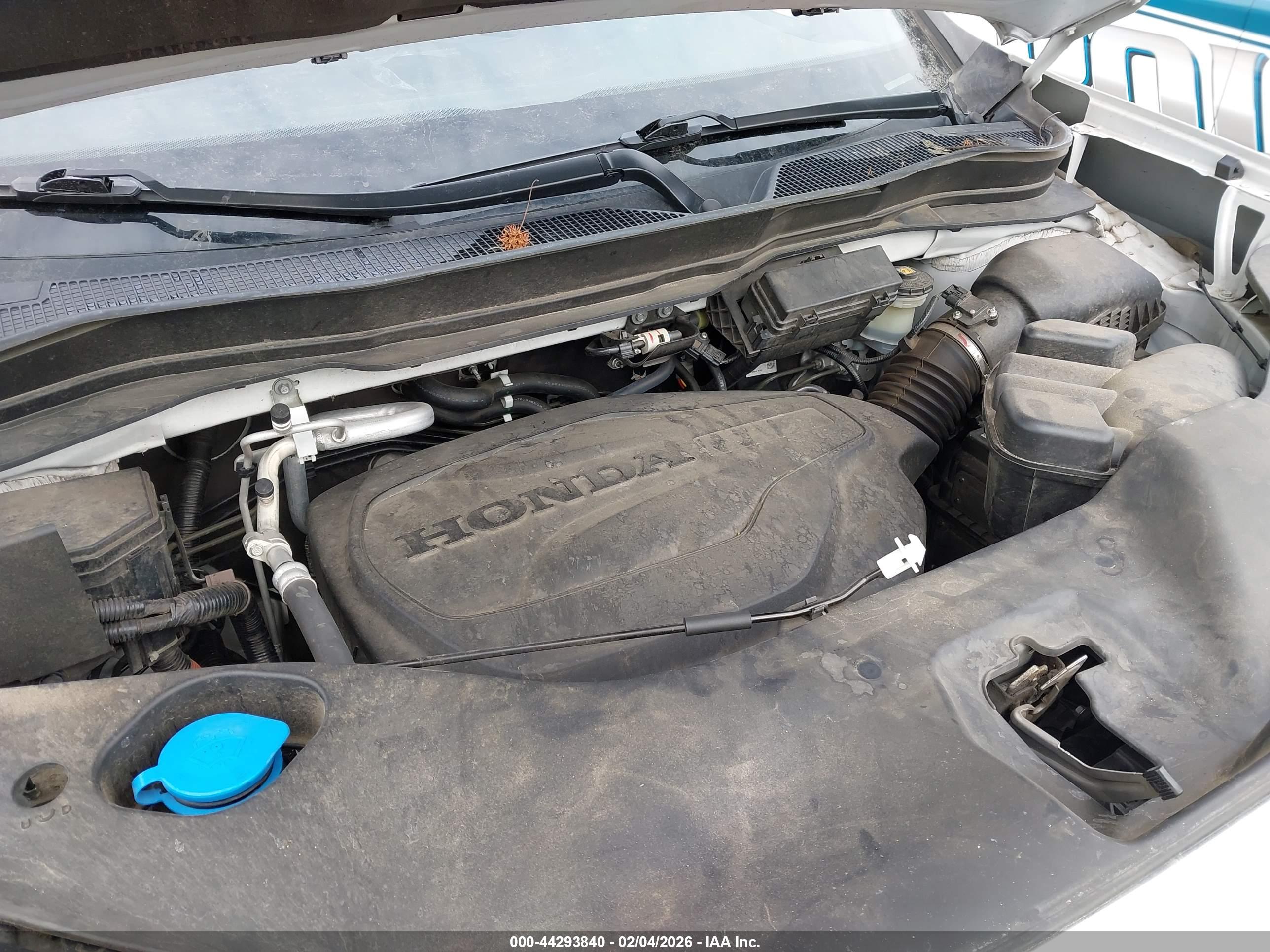 HONDA PASSPORT image 10
