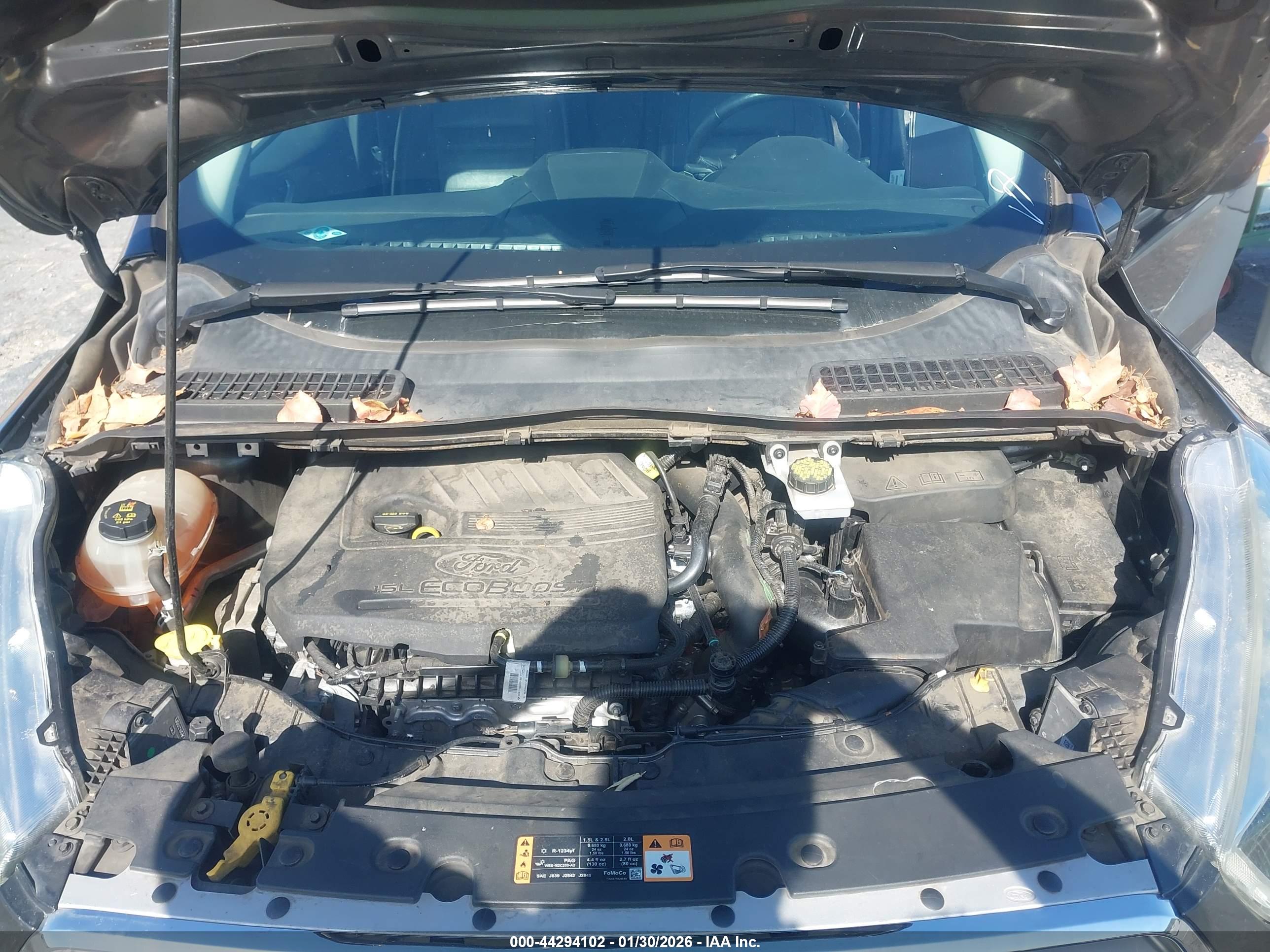 FORD ESCAPE image 10