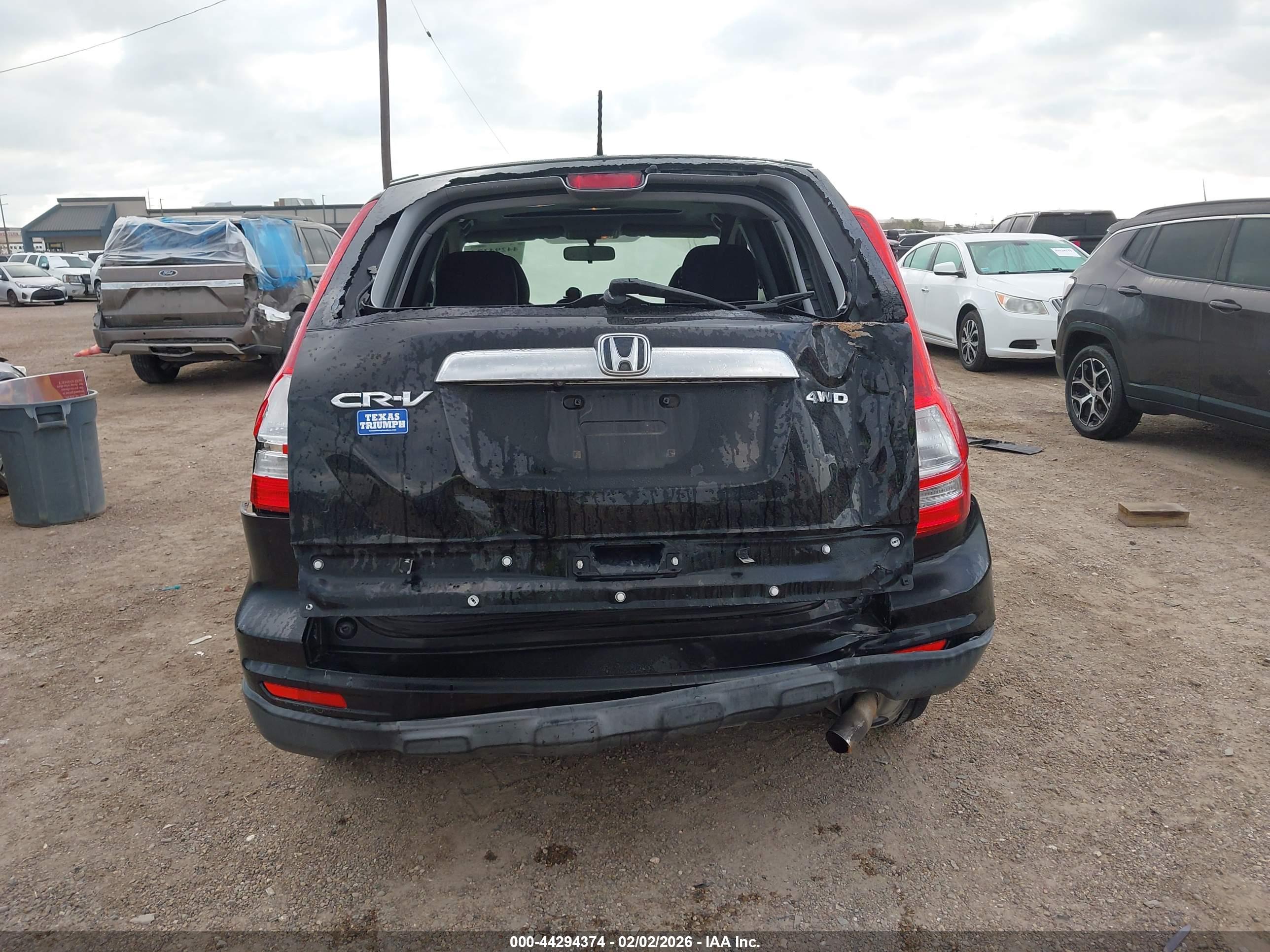 HONDA CR-V image 6