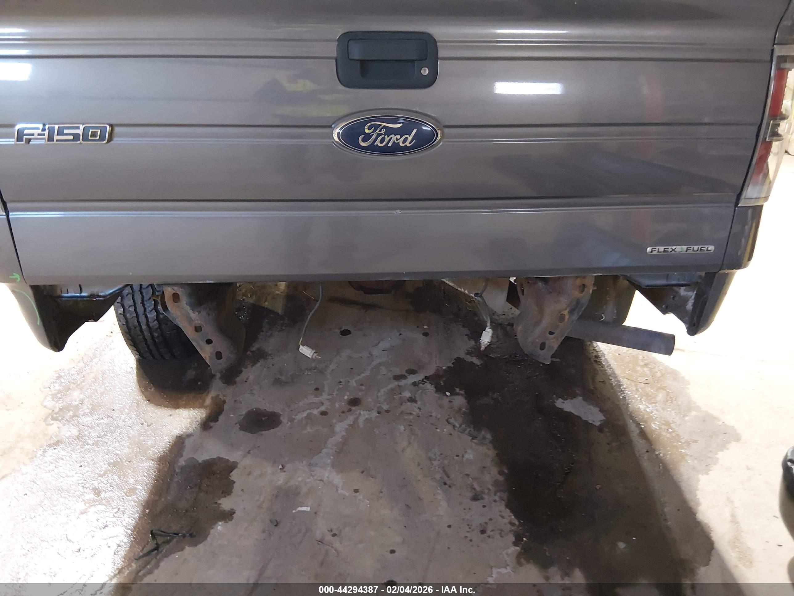 FORD F-150 image 6