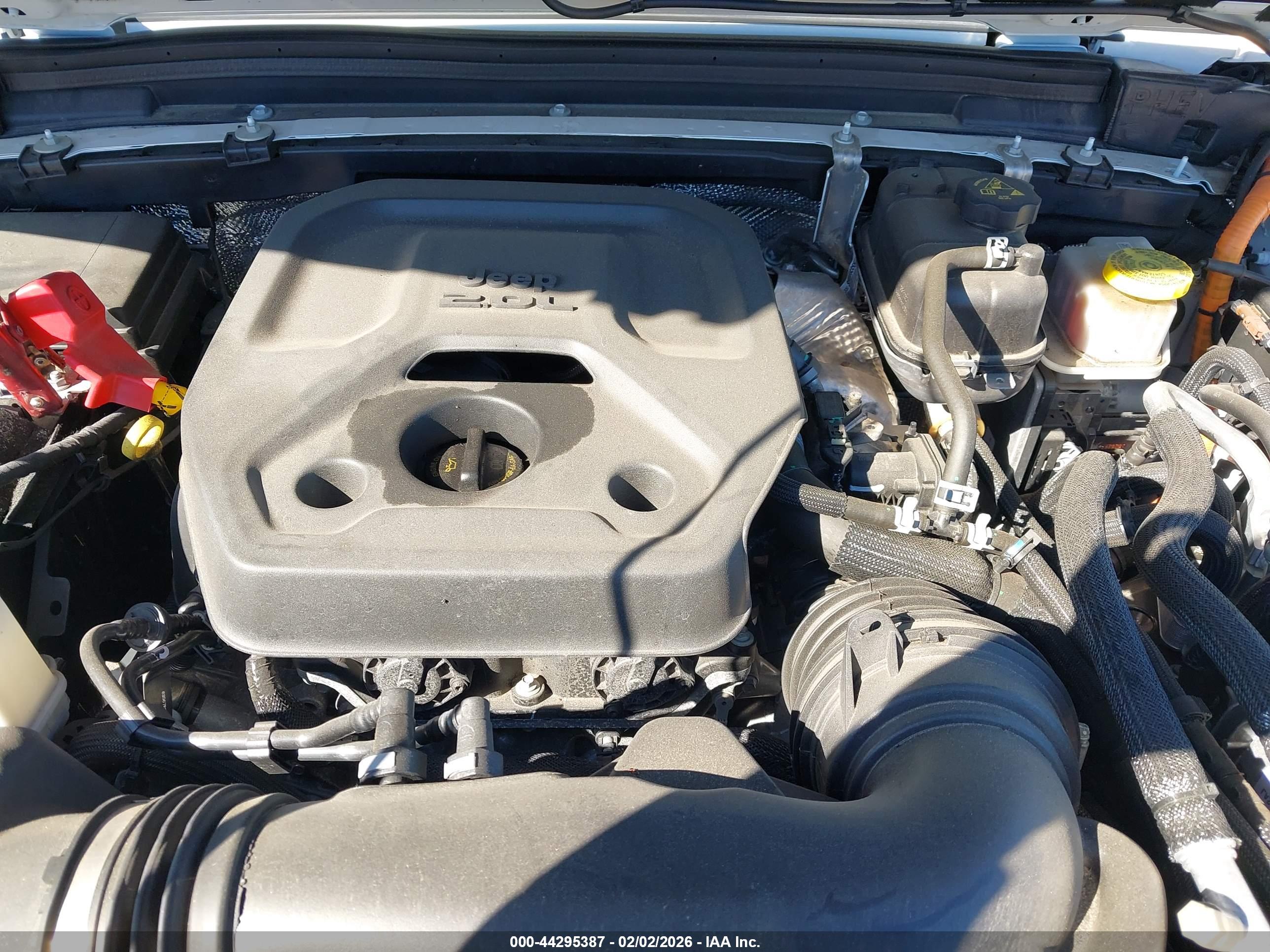 JEEP WRANGLER image 10