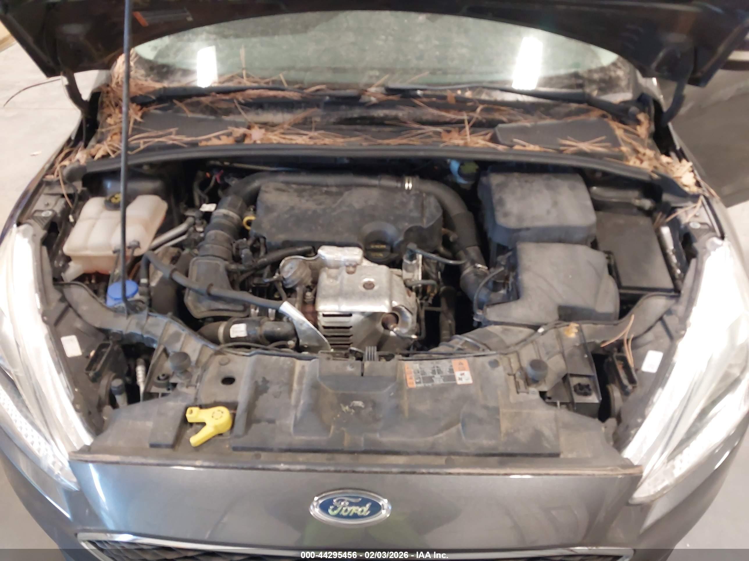 FORD FOCUS image 10