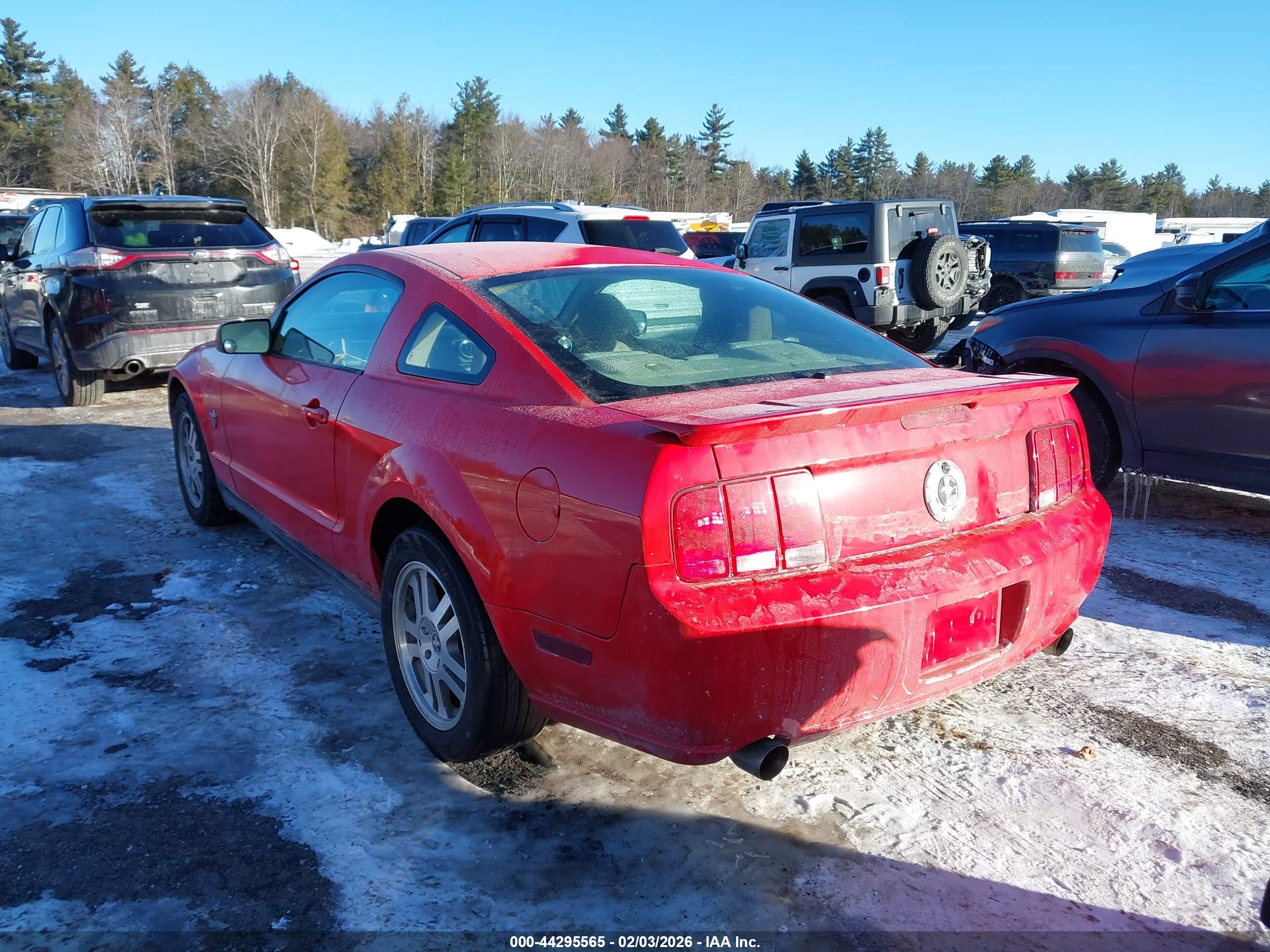 FORD MUSTANG image 3