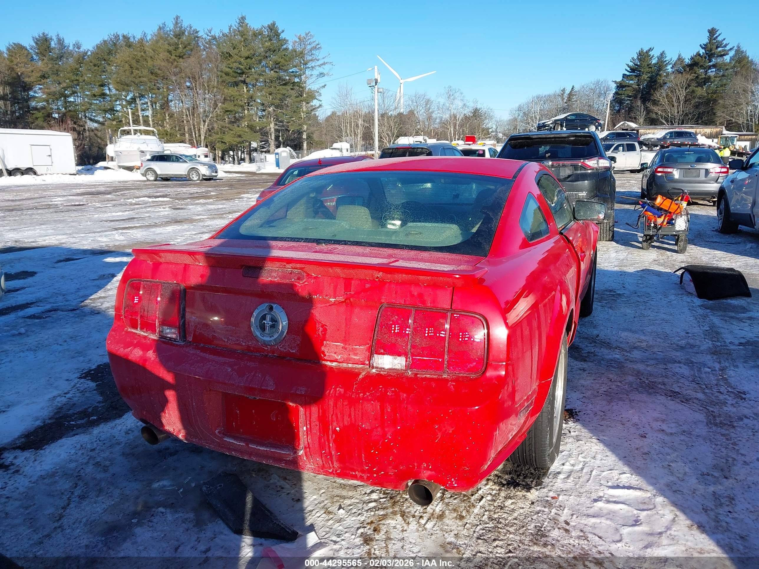 FORD MUSTANG image 4