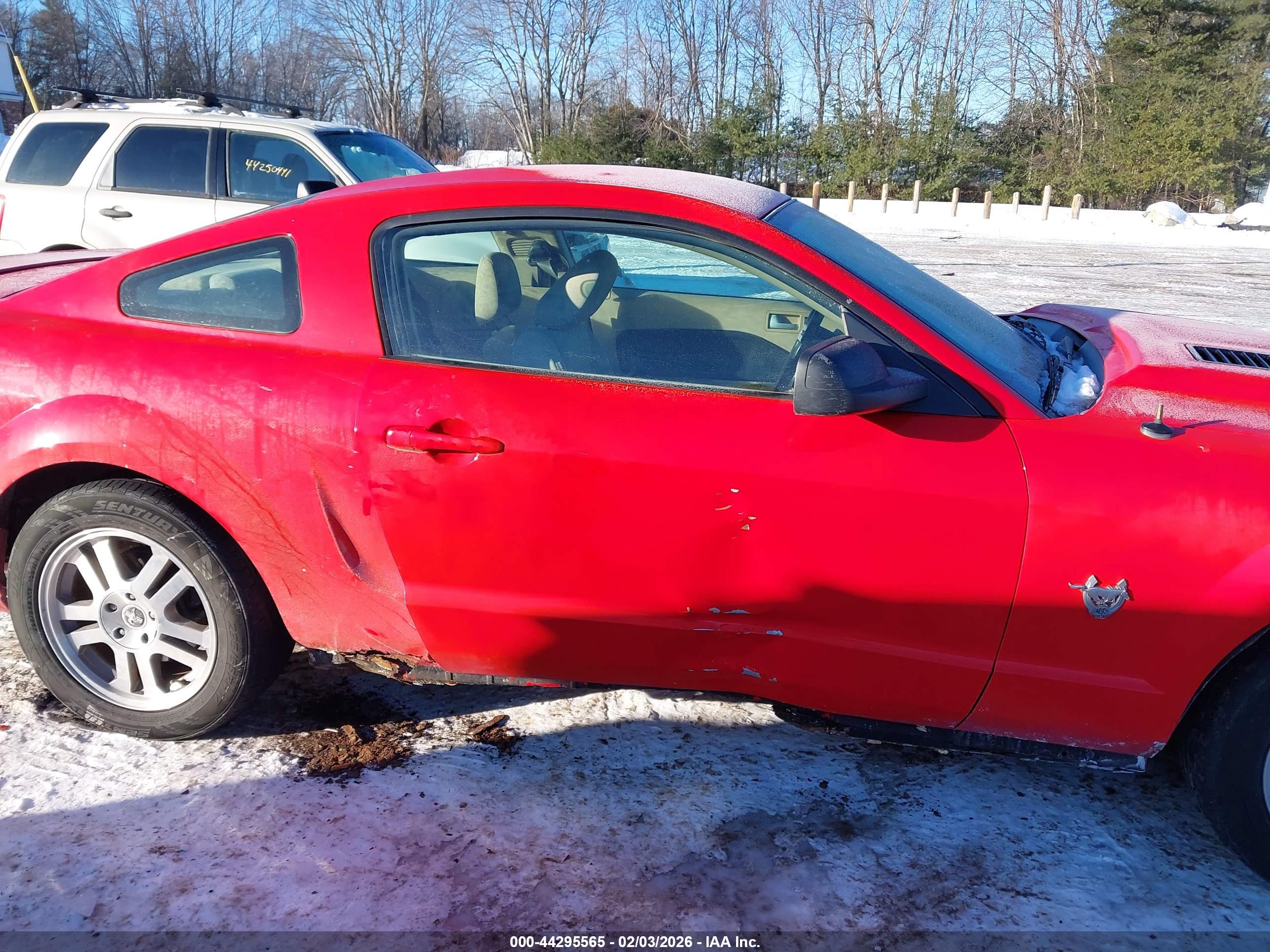 FORD MUSTANG image 6