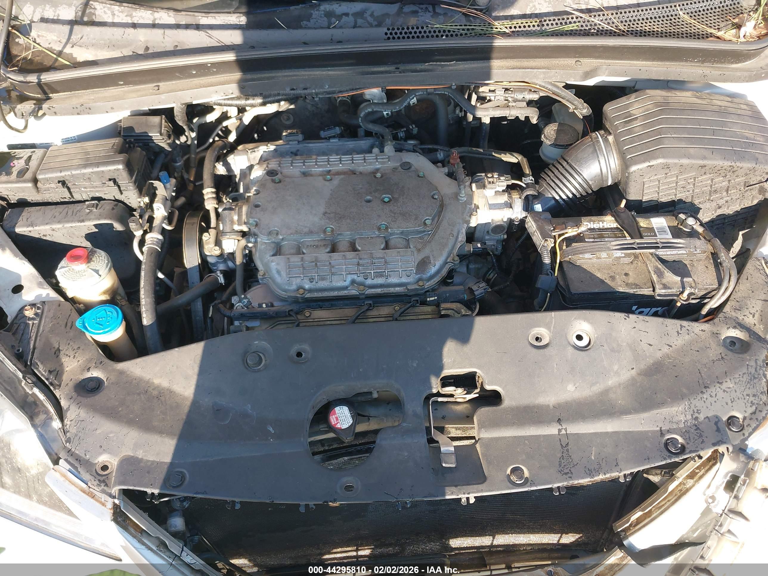 HONDA ODYSSEY image 10
