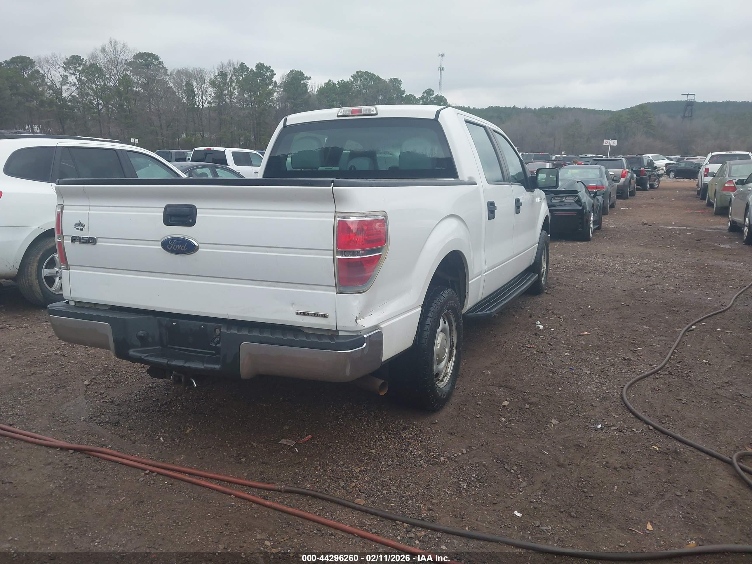 FORD F-150 image 4