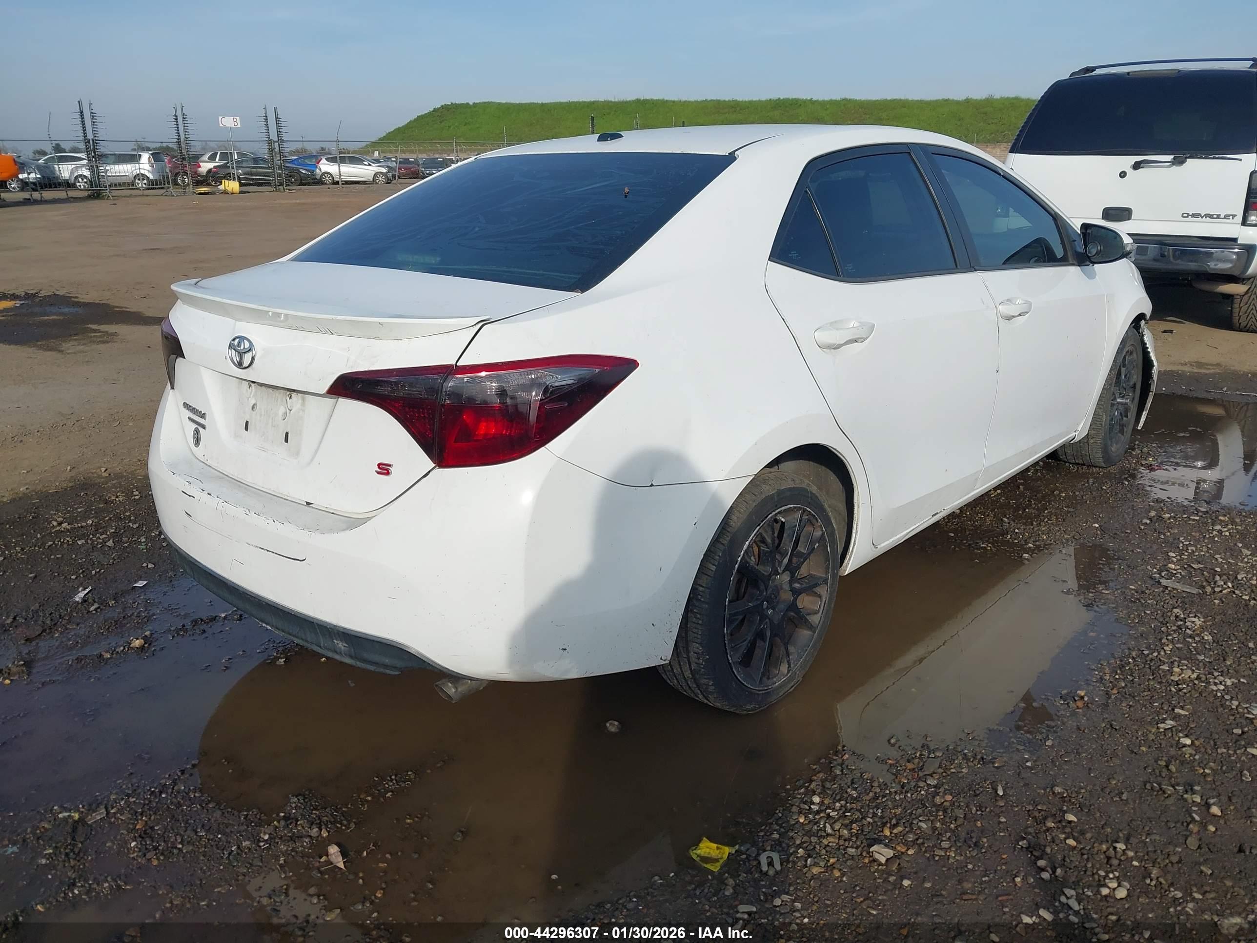 TOYOTA COROLLA image 4