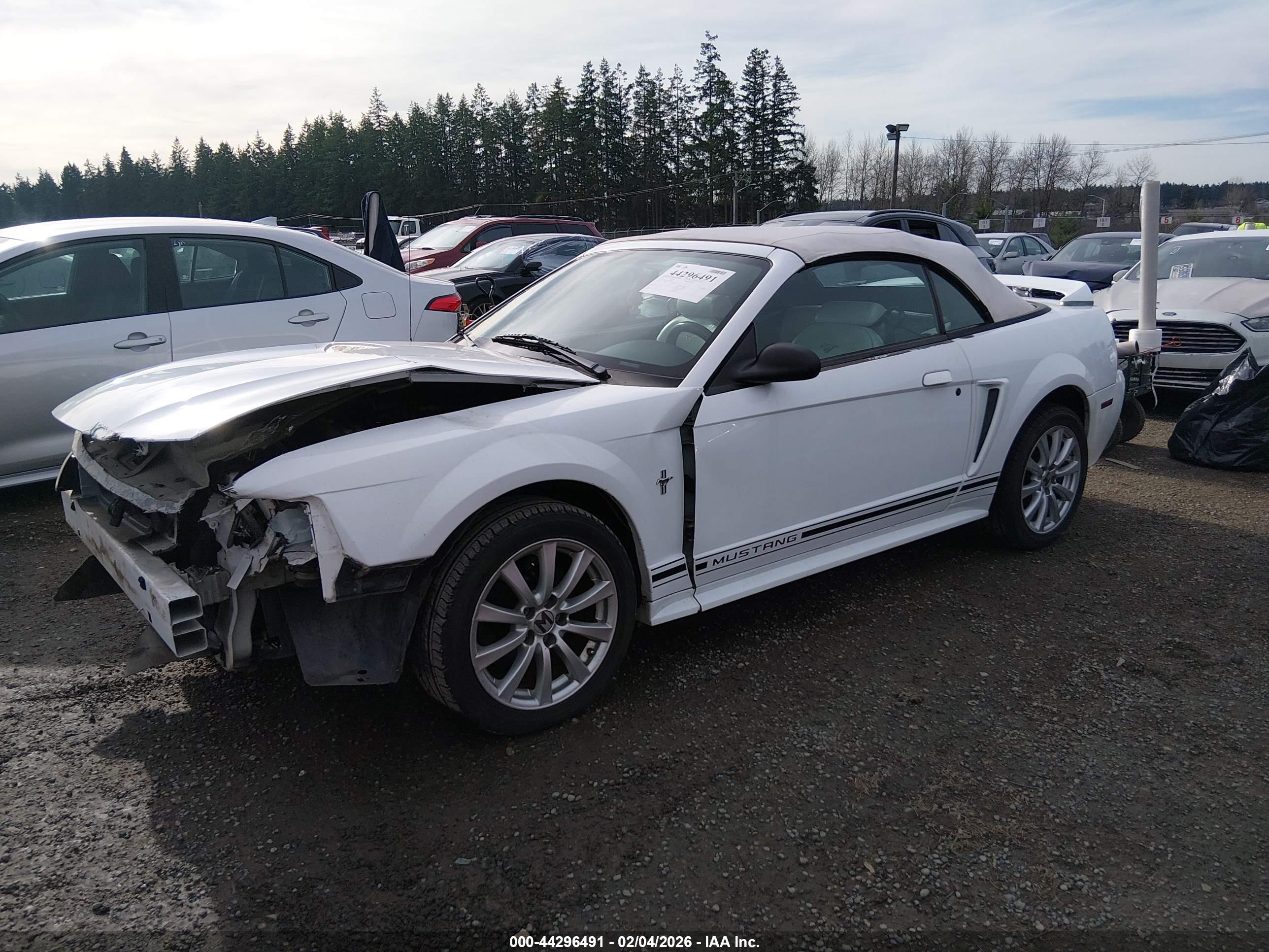 FORD MUSTANG image 2