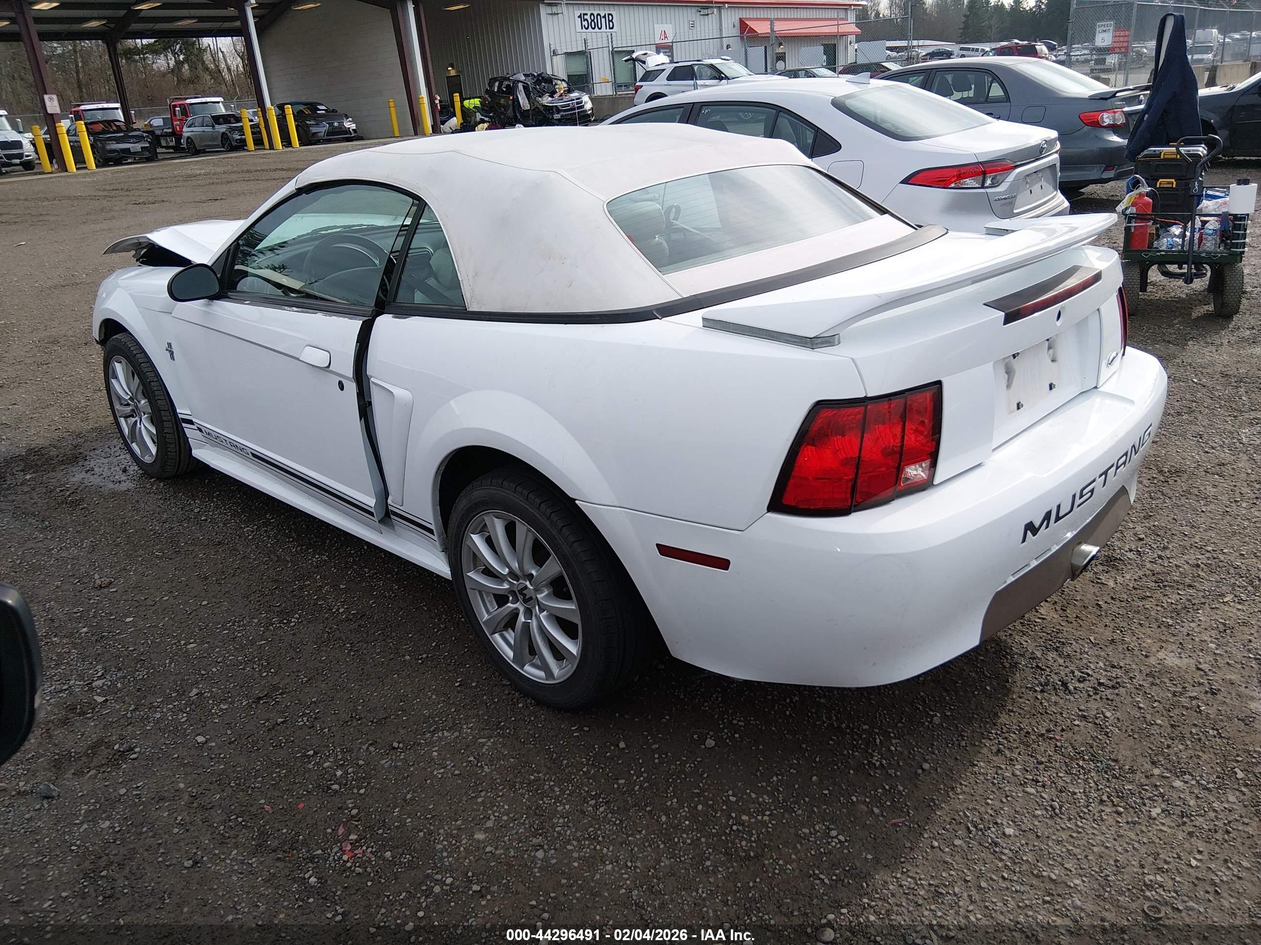 FORD MUSTANG image 3
