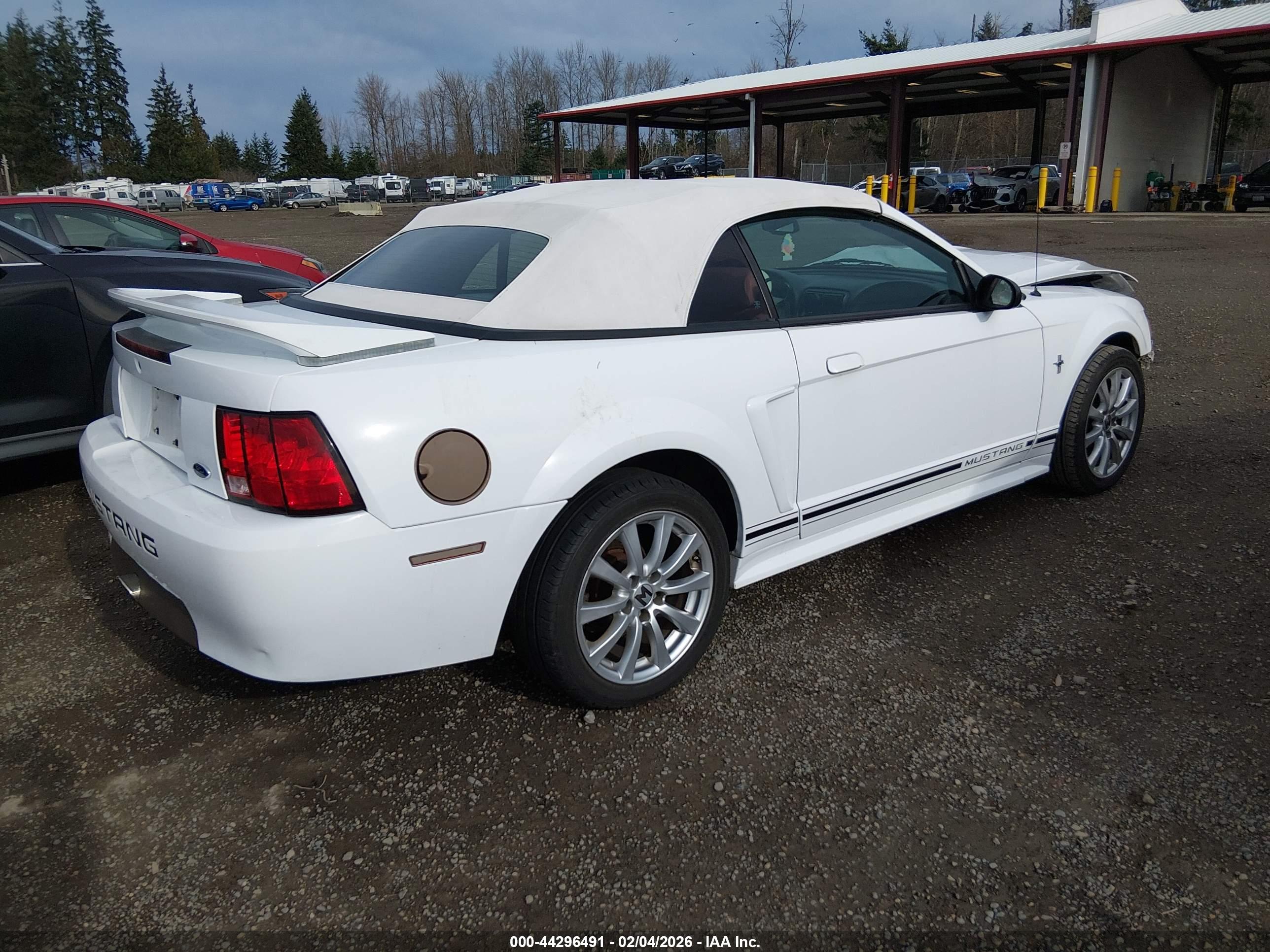 FORD MUSTANG image 4