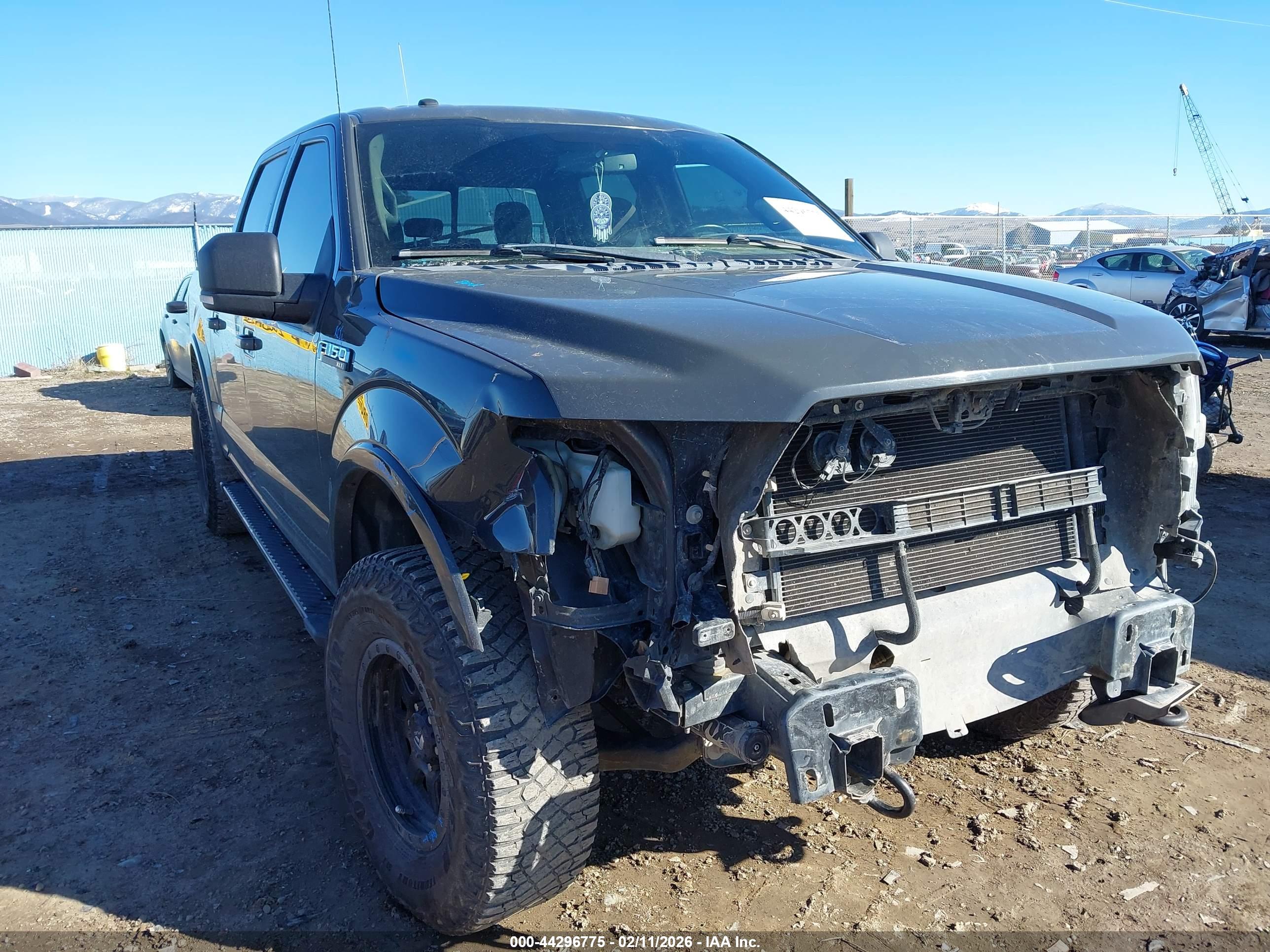 FORD F-150 image 6