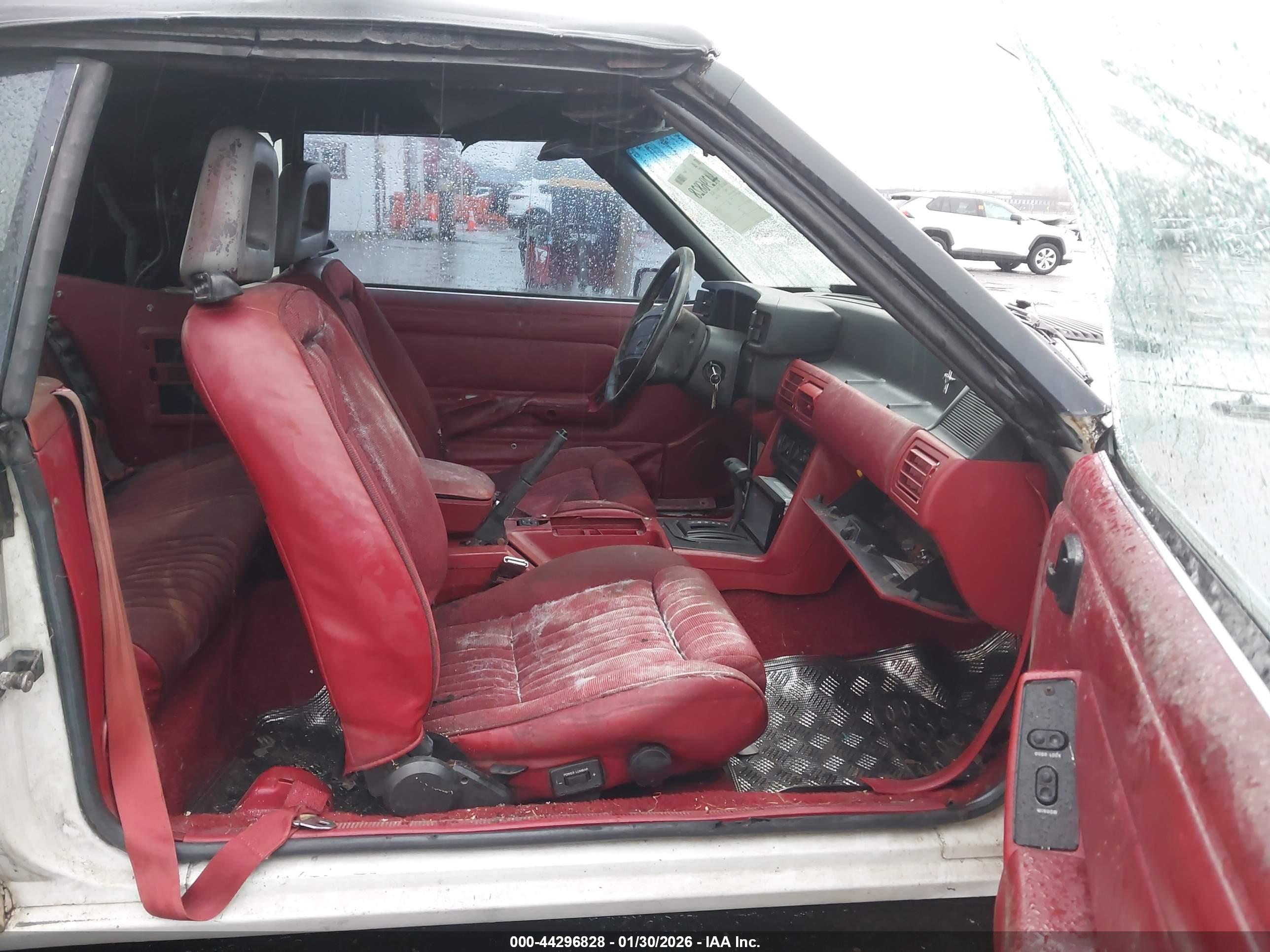 FORD MUSTANG image 5