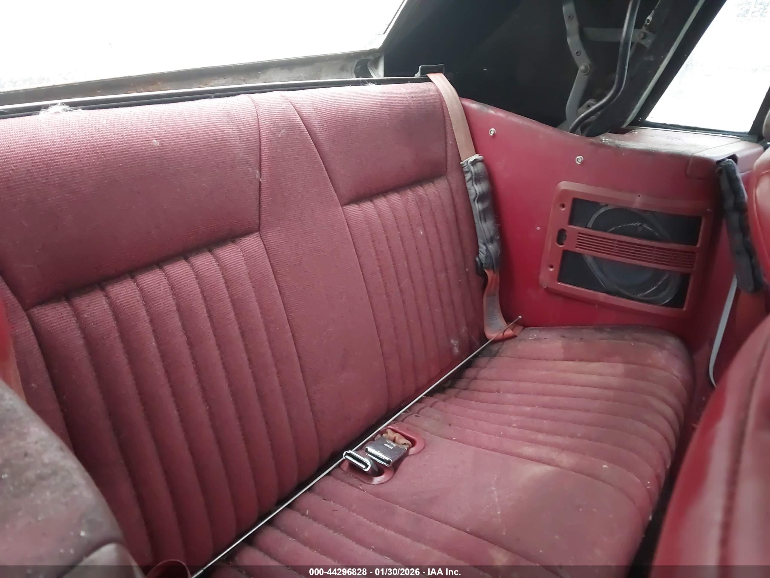 FORD MUSTANG image 8