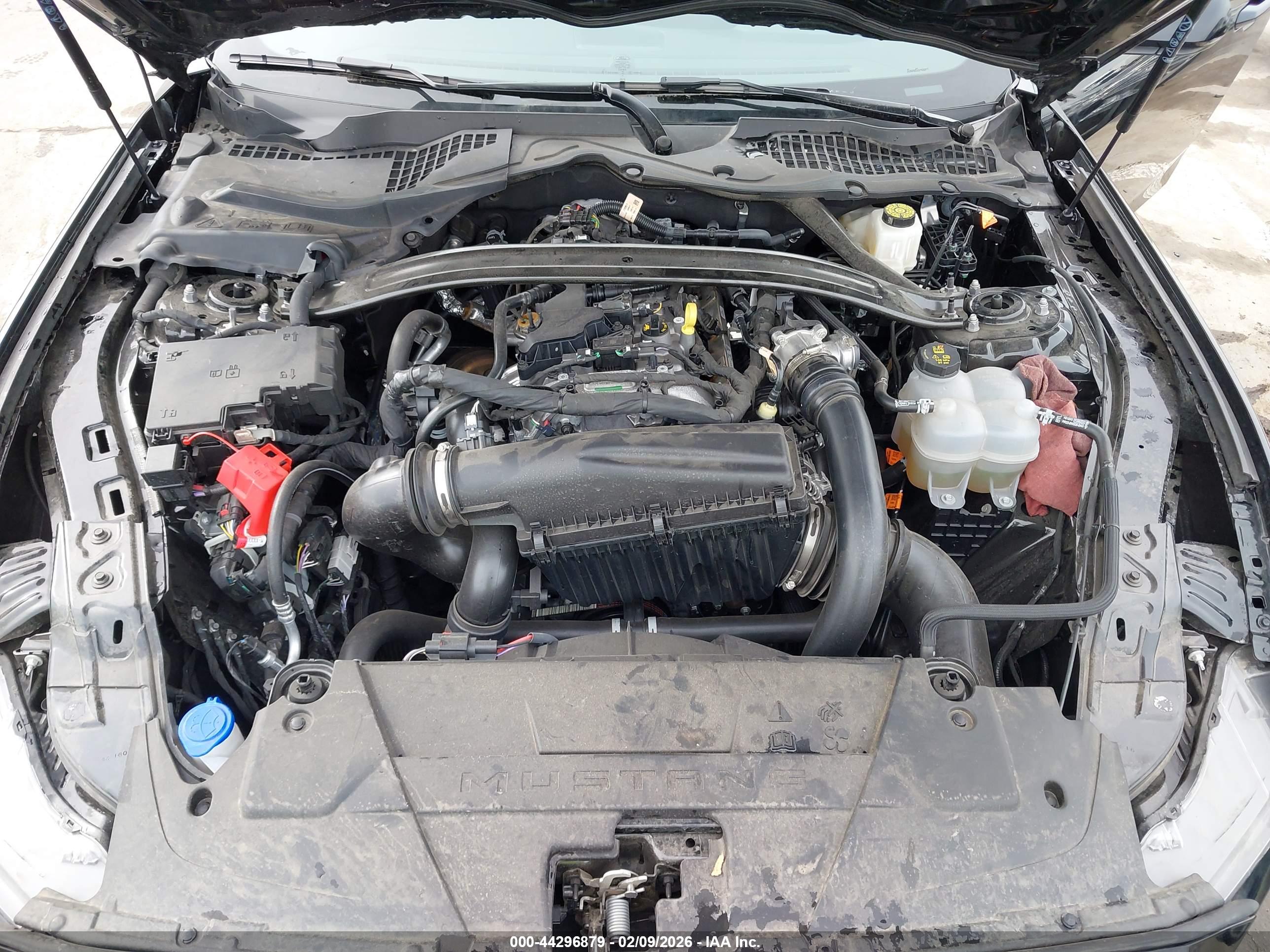 FORD MUSTANG image 10