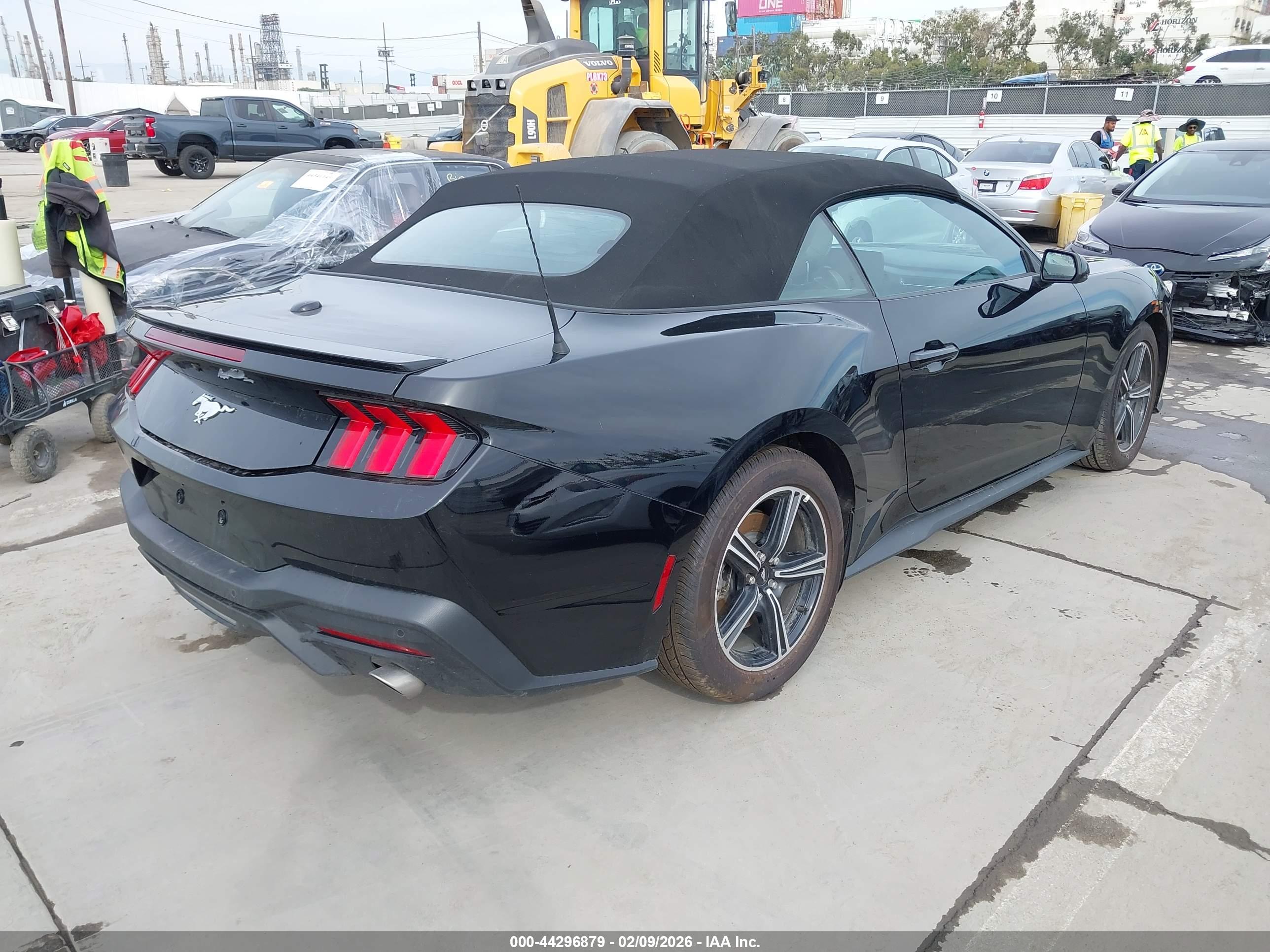 FORD MUSTANG image 4