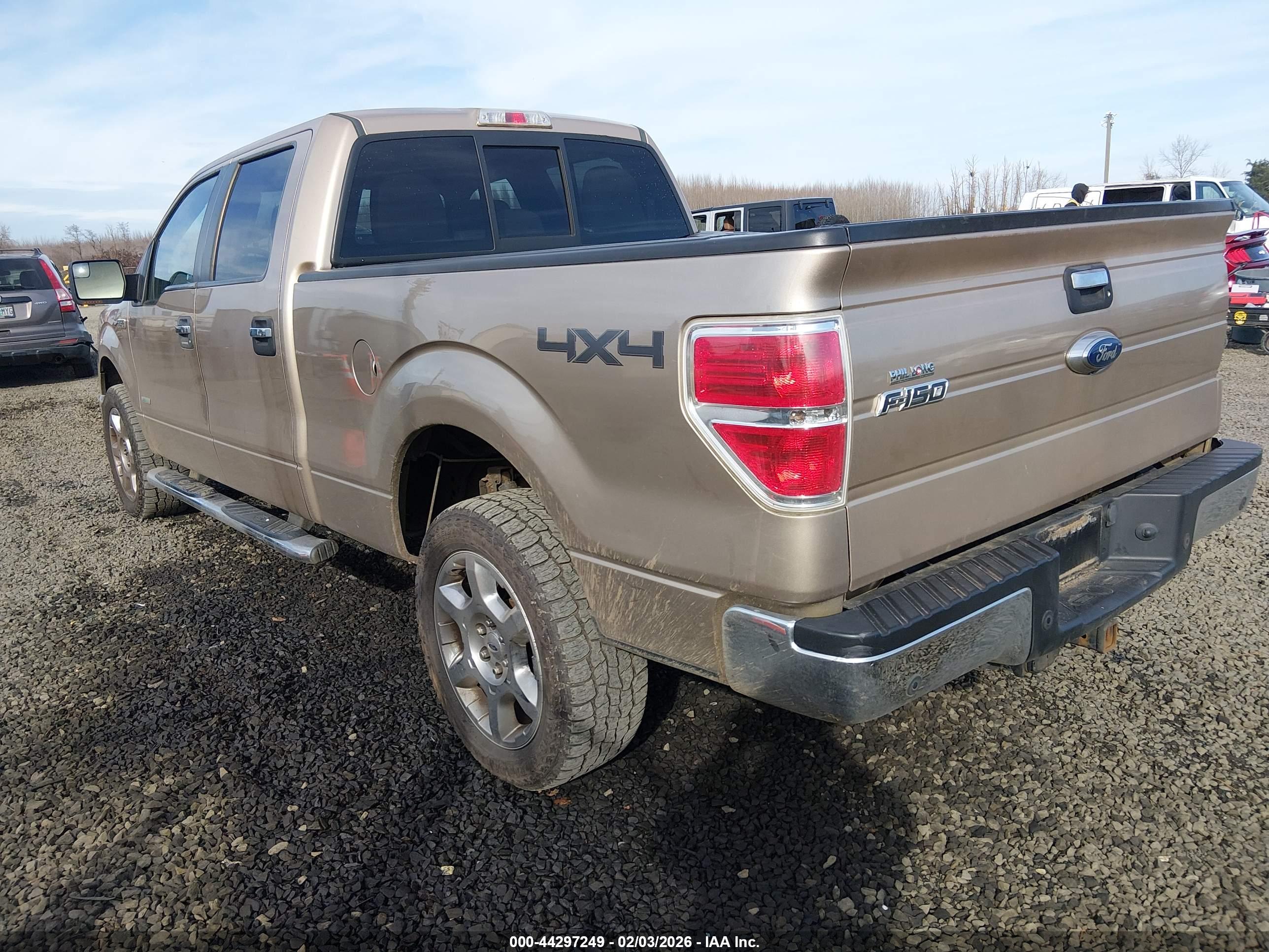 FORD F-150 image 3