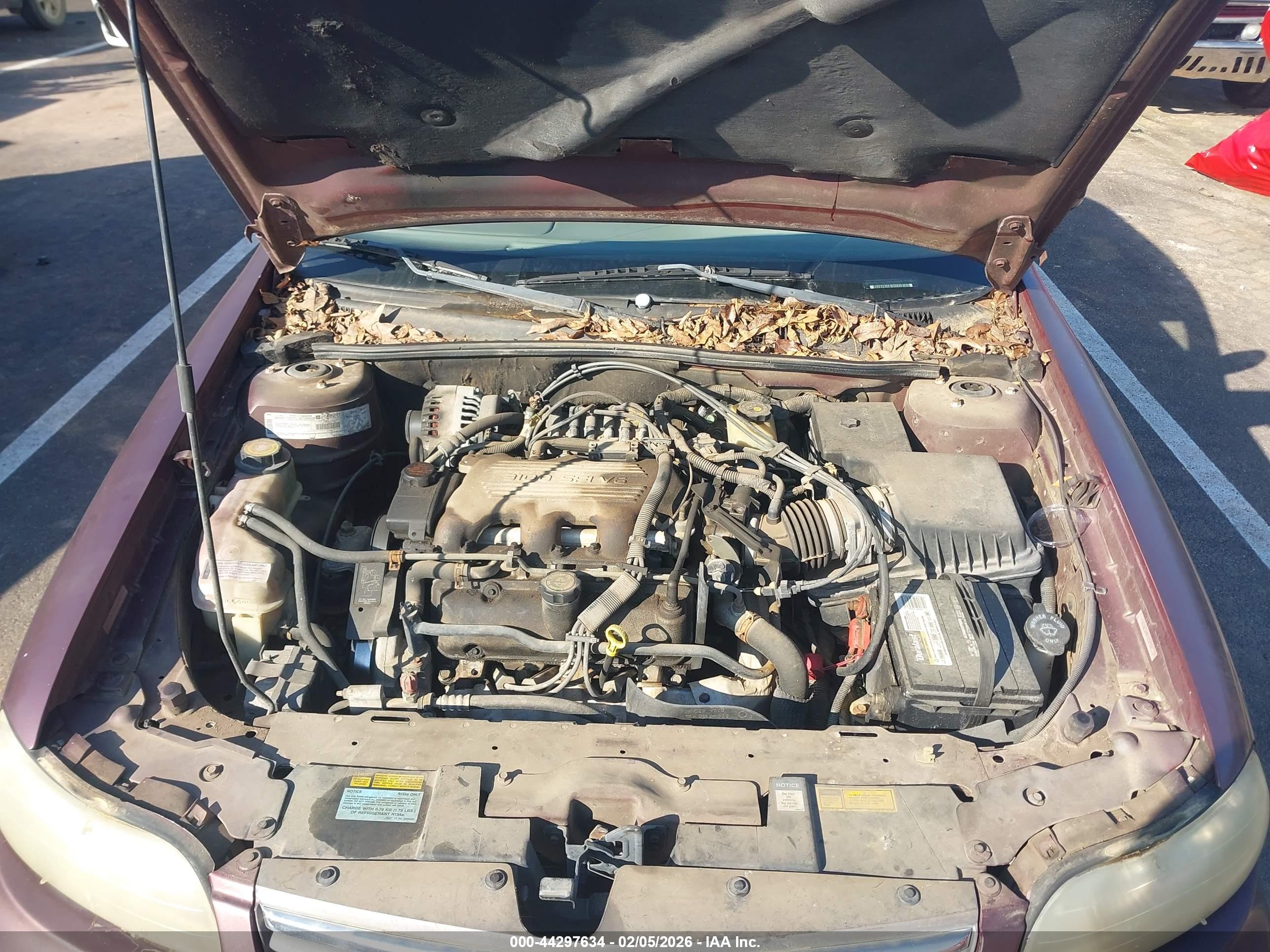 CHEVROLET MALIBU image 10