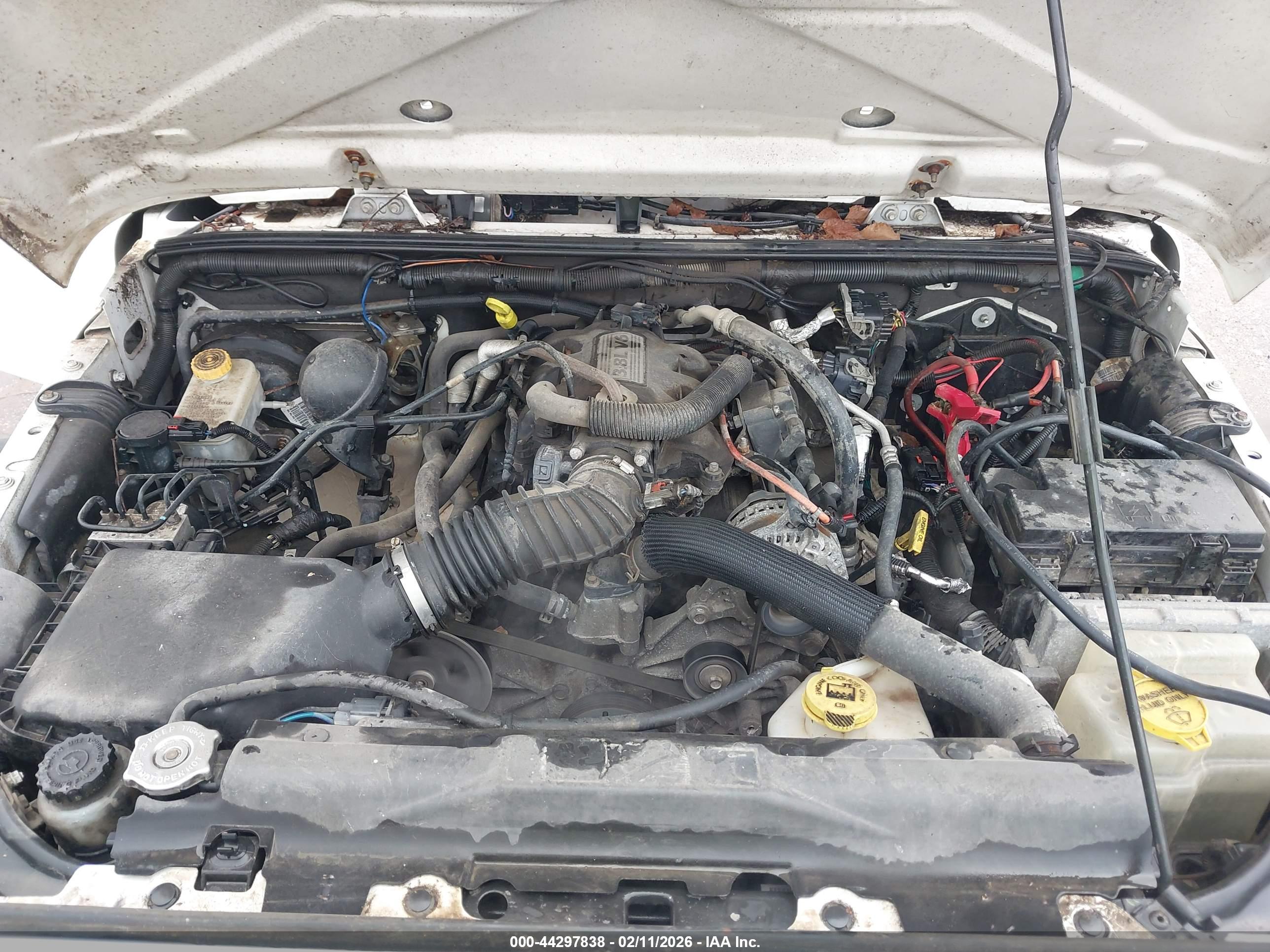 JEEP WRANGLER image 10