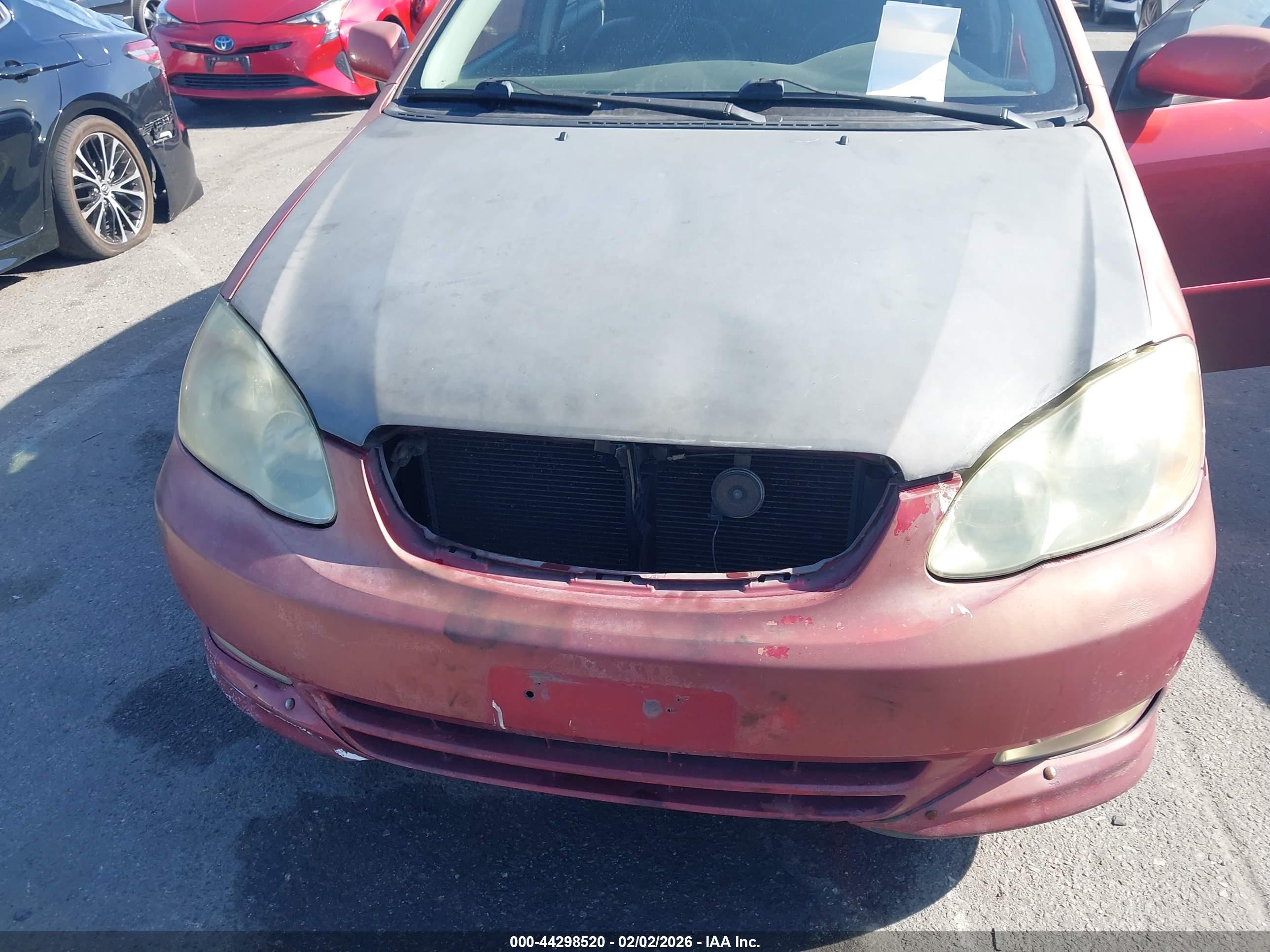 TOYOTA COROLLA image 6