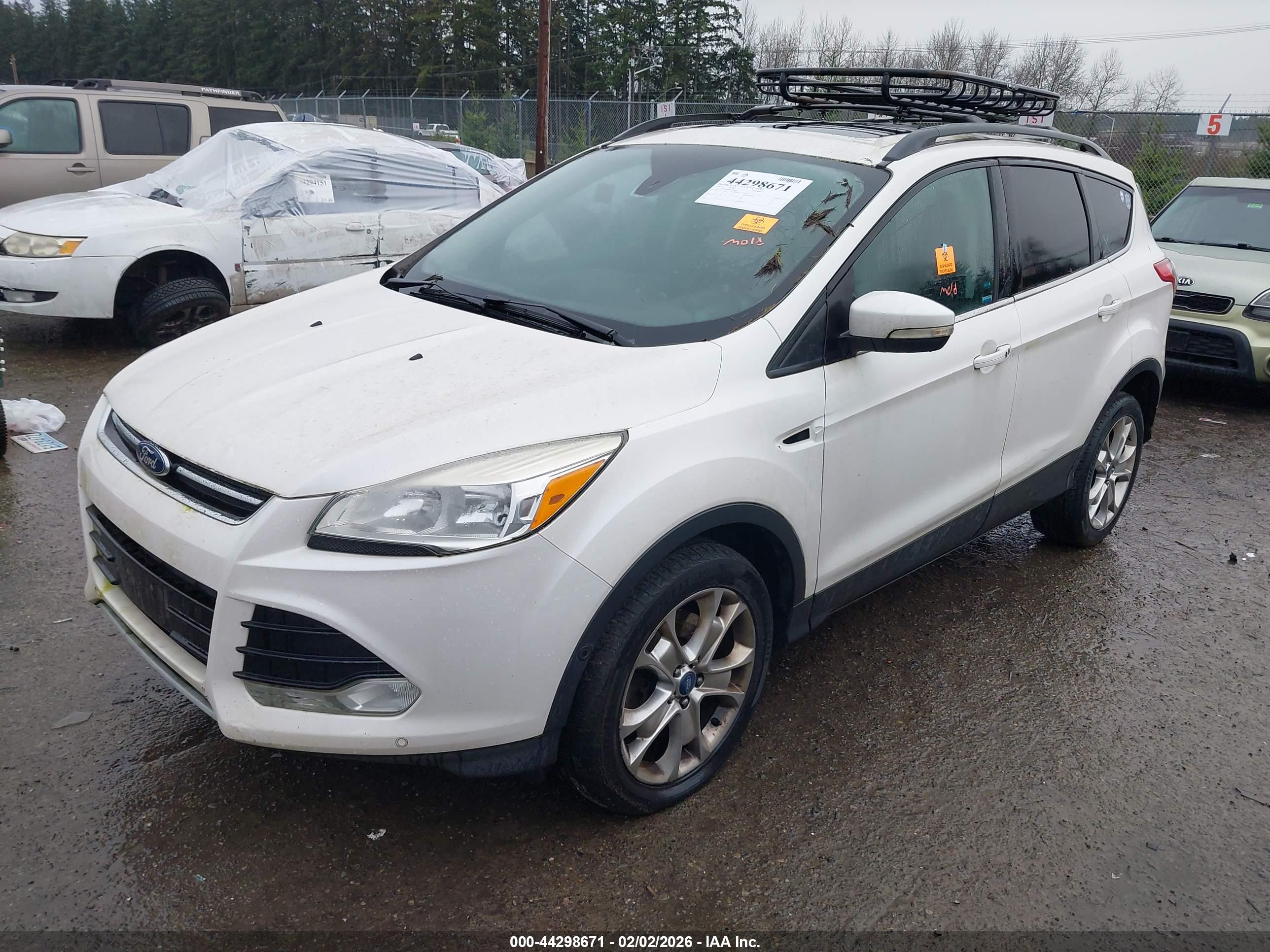 FORD ESCAPE image 2