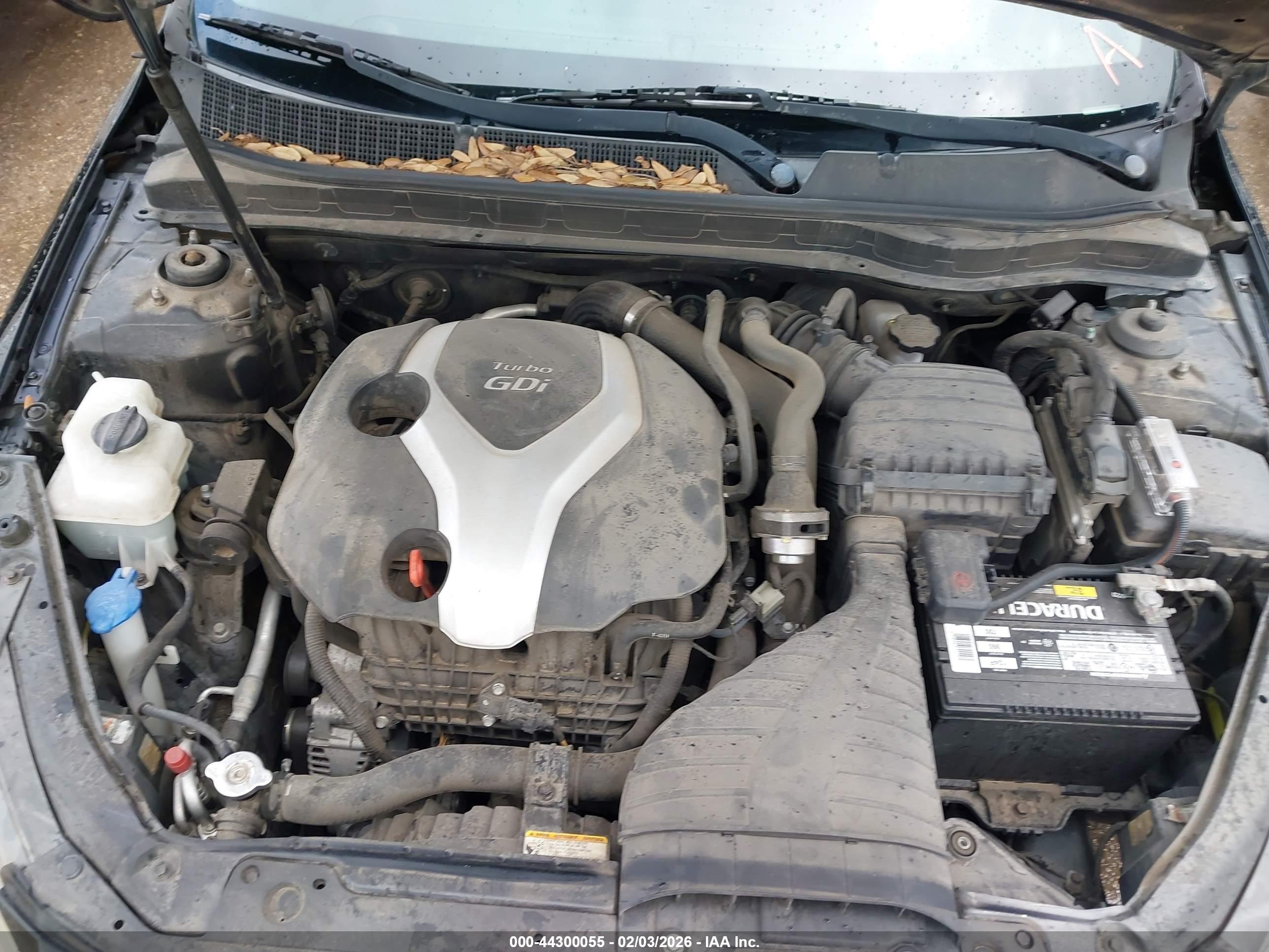 KIA OPTIMA image 10