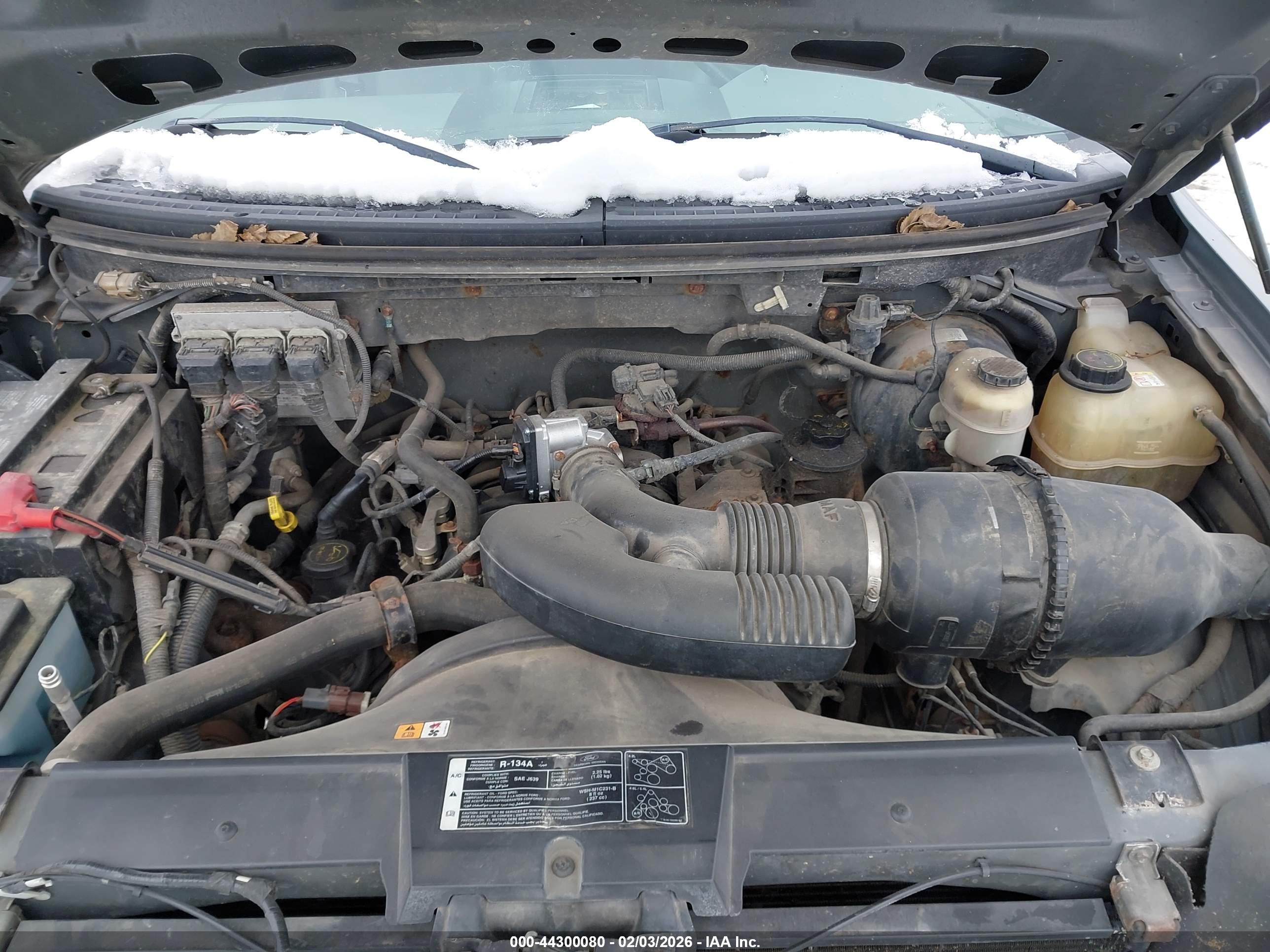 FORD F-150 image 10