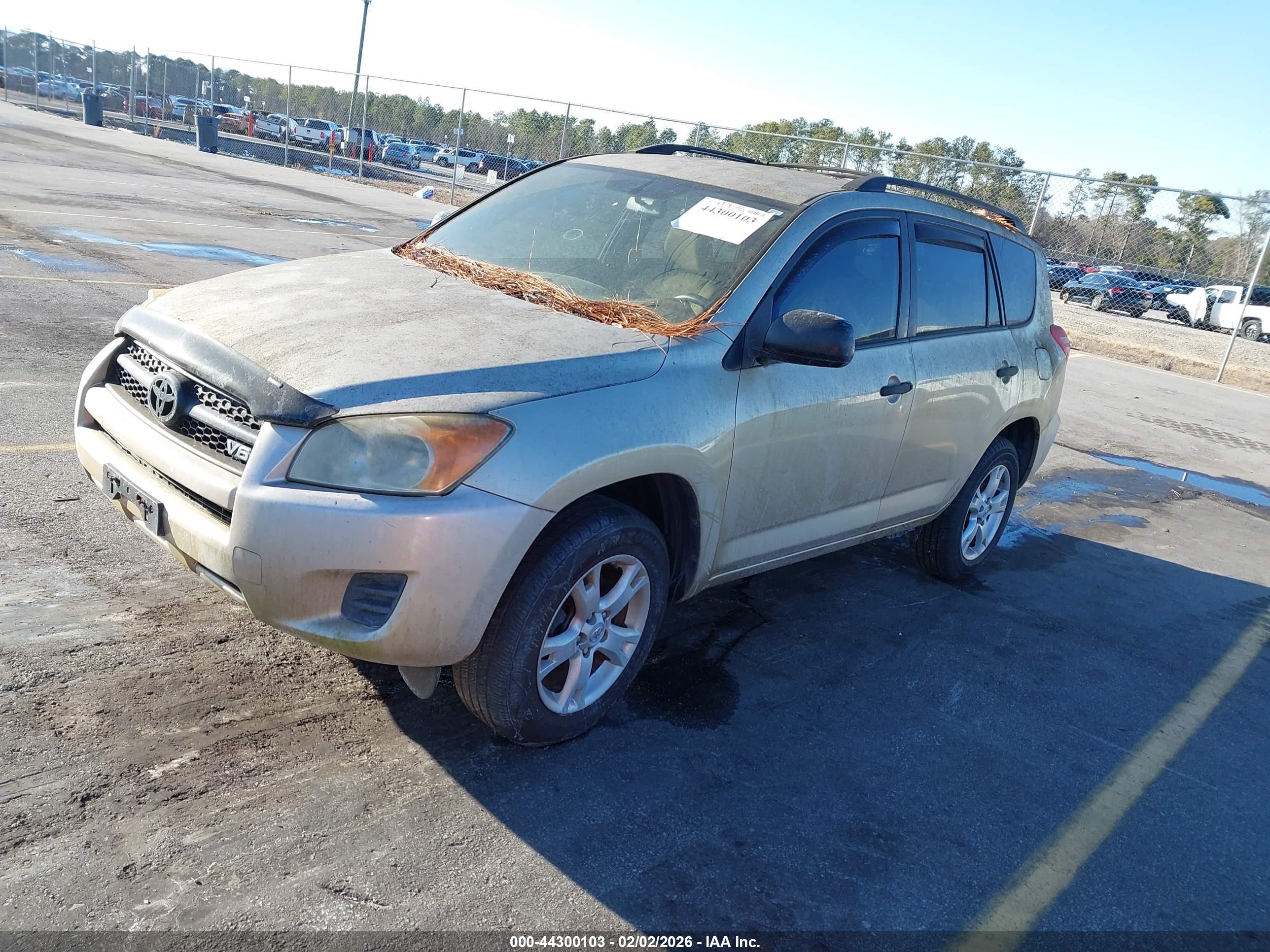 TOYOTA RAV4 image 2