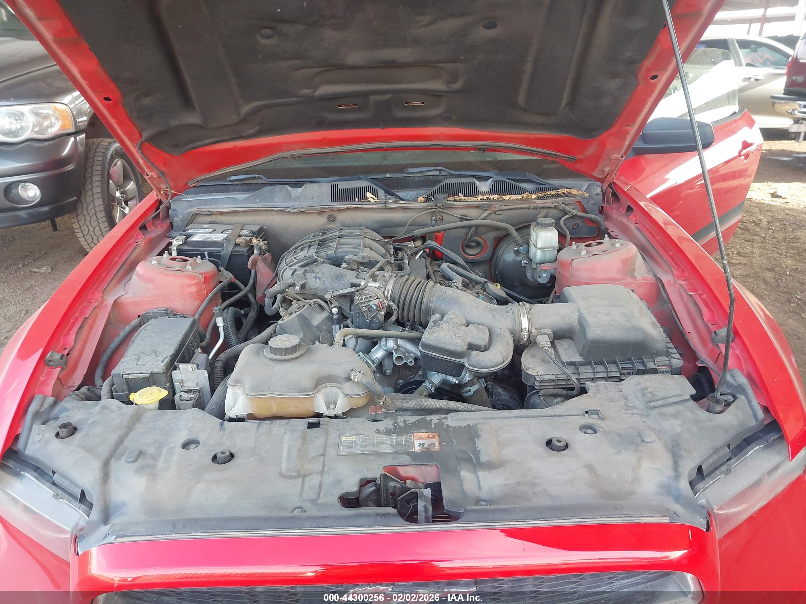 FORD MUSTANG image 10