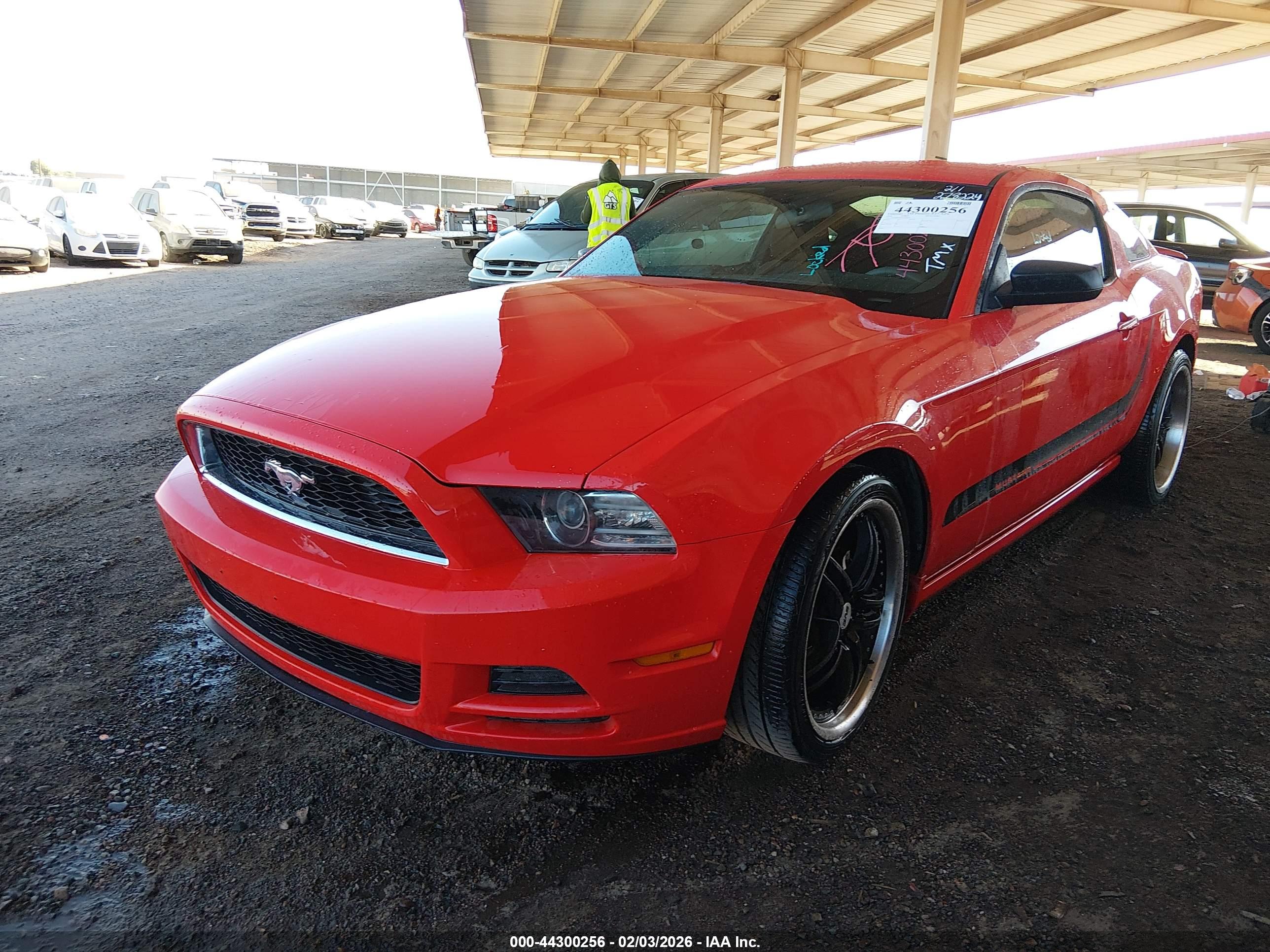 FORD MUSTANG image 2