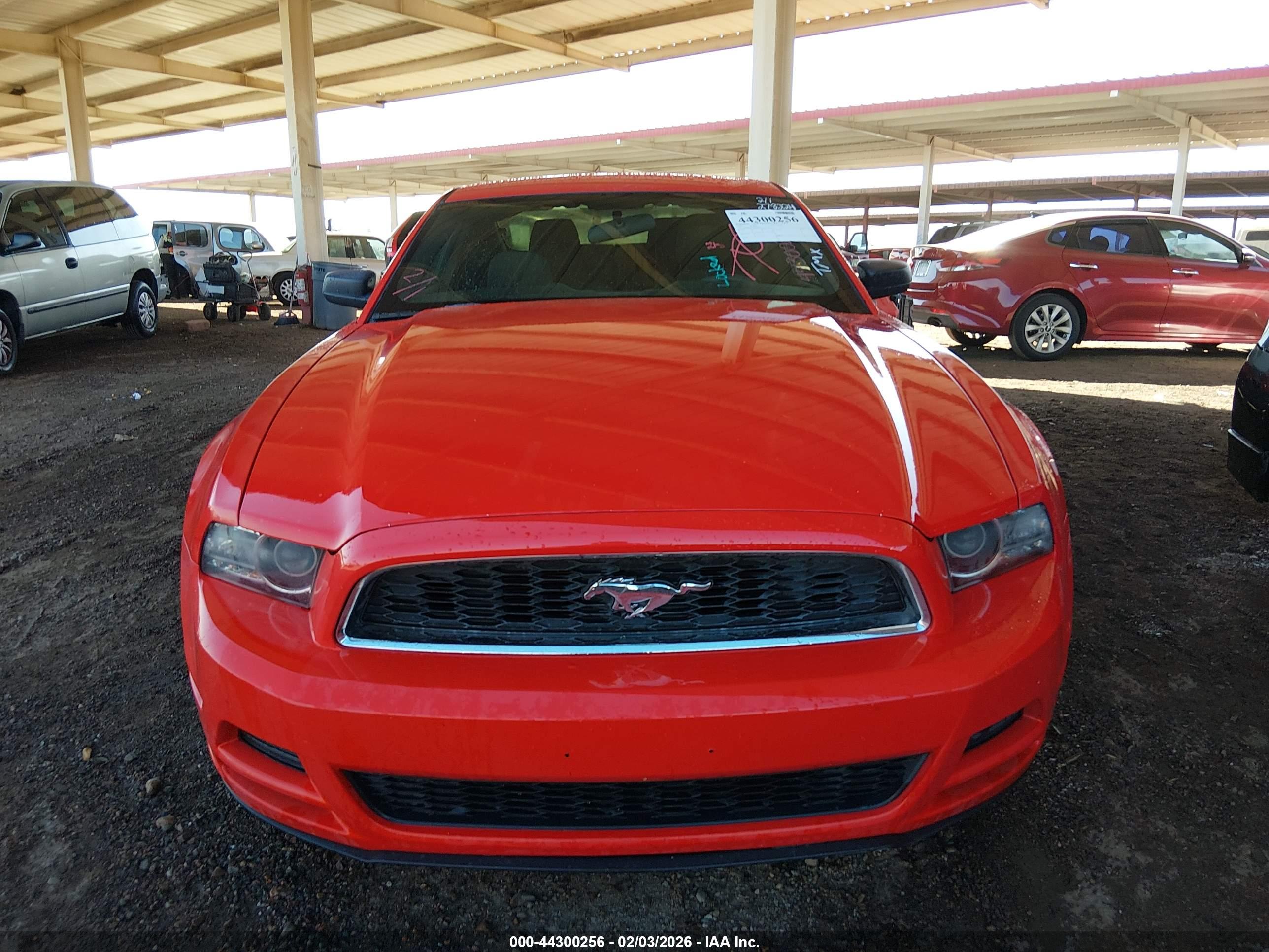 FORD MUSTANG image 6