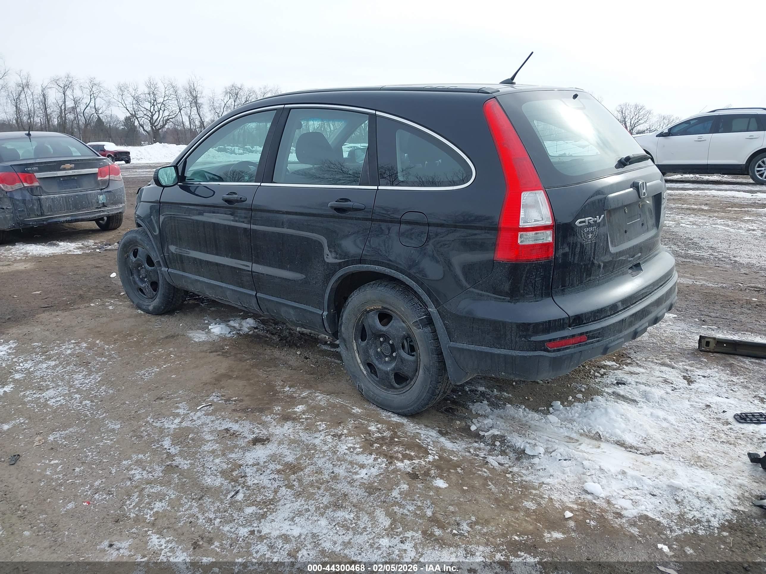 HONDA CR-V image 3