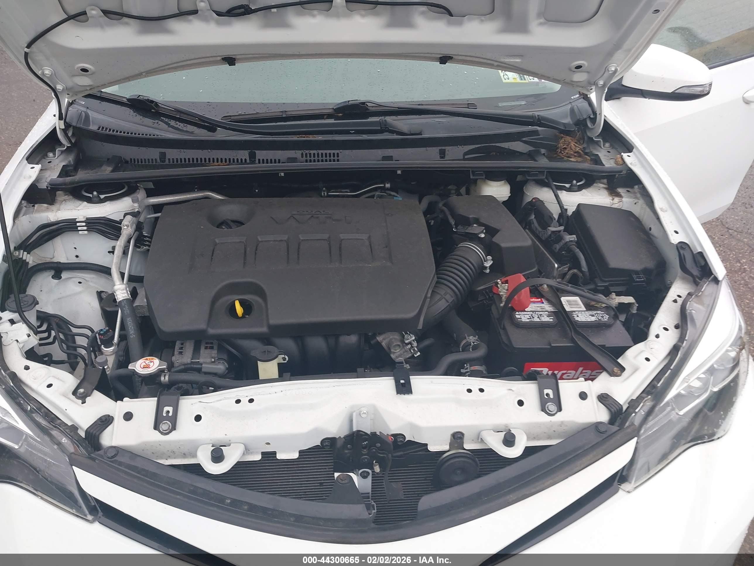 TOYOTA COROLLA image 10