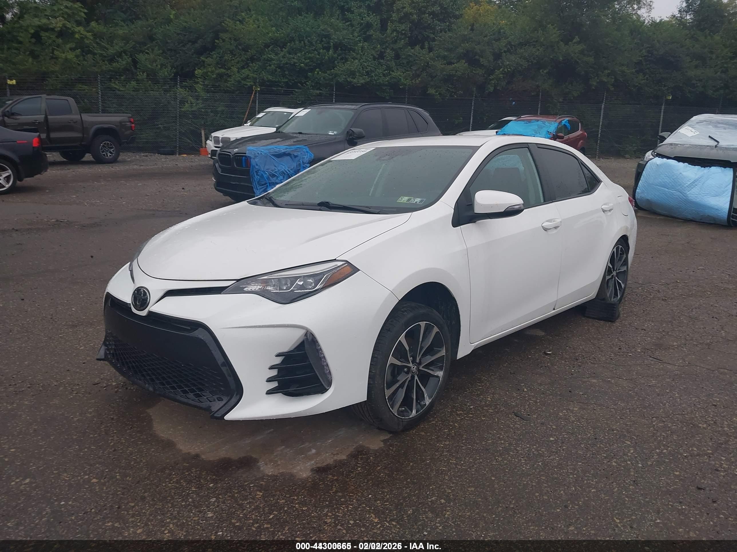 TOYOTA COROLLA image 2