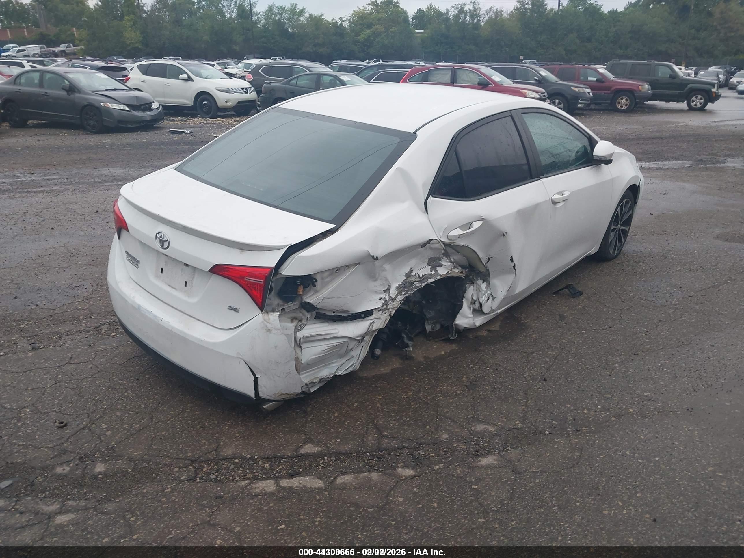 TOYOTA COROLLA image 4