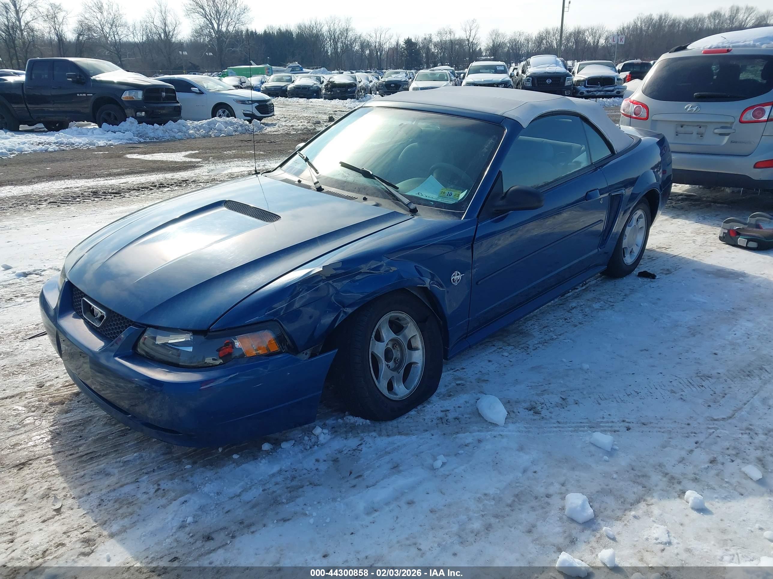 FORD MUSTANG image 2